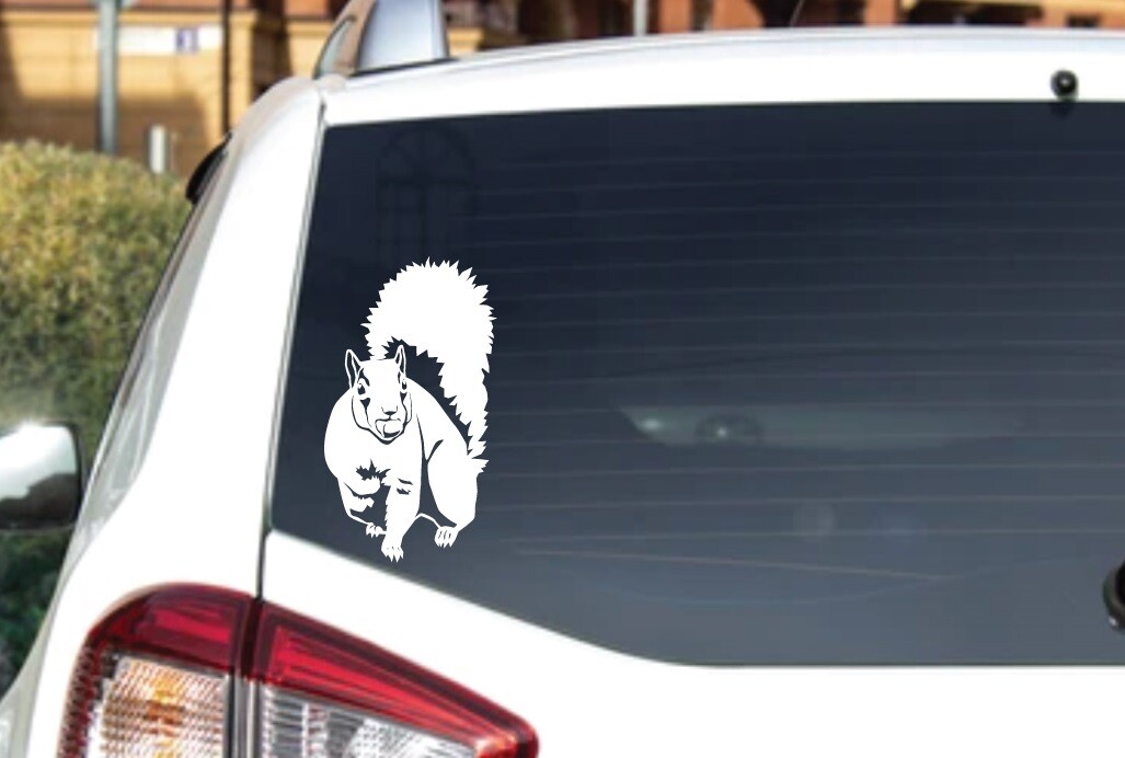 Animals – Wild Life – Tree Squirrel 1 Laptop, Car, Bumper, Door Decal Sticker