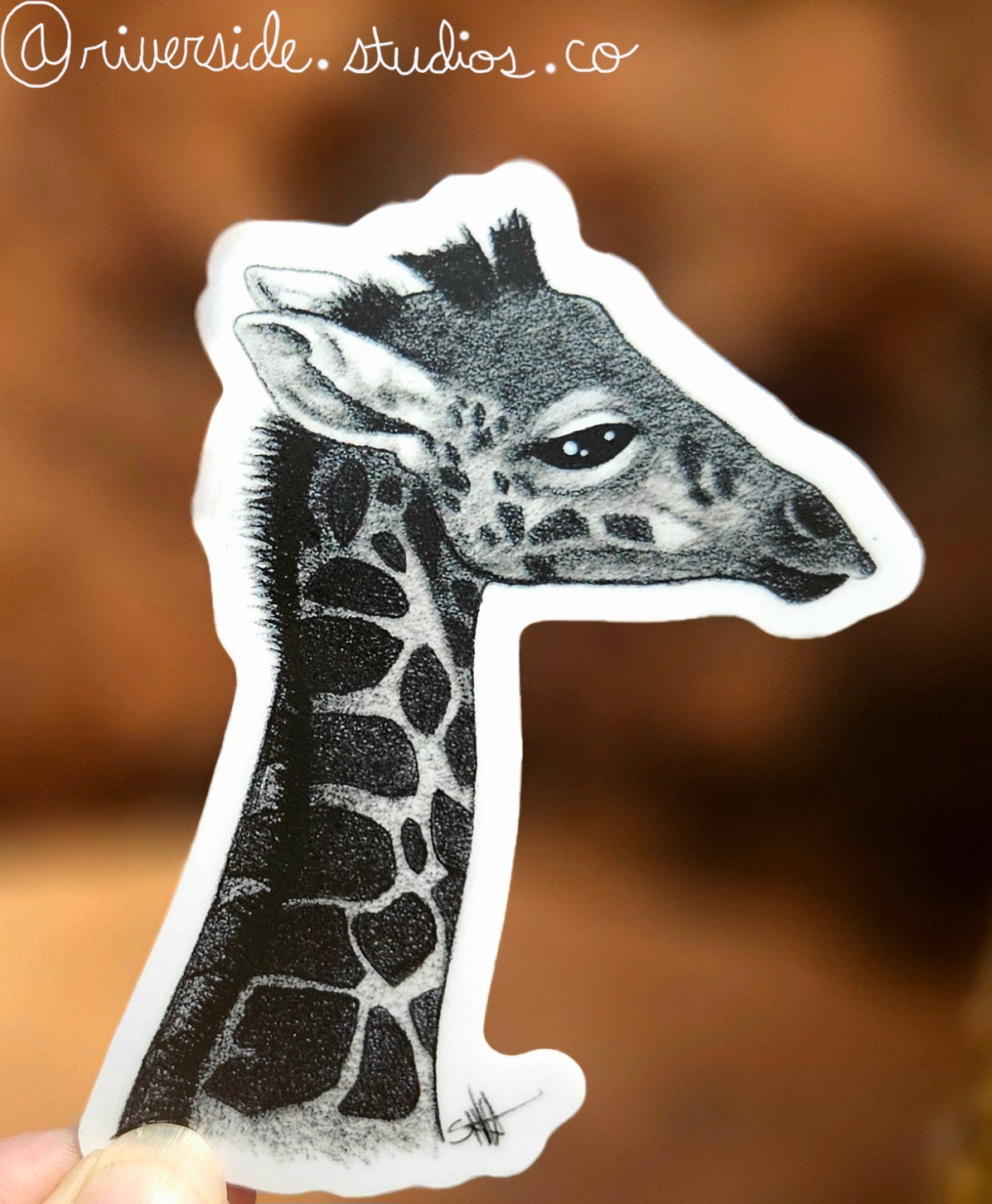 Reticulated Giraffe Calf Vinyl Sticker 3" Original Wildlife Graphite Art Africa