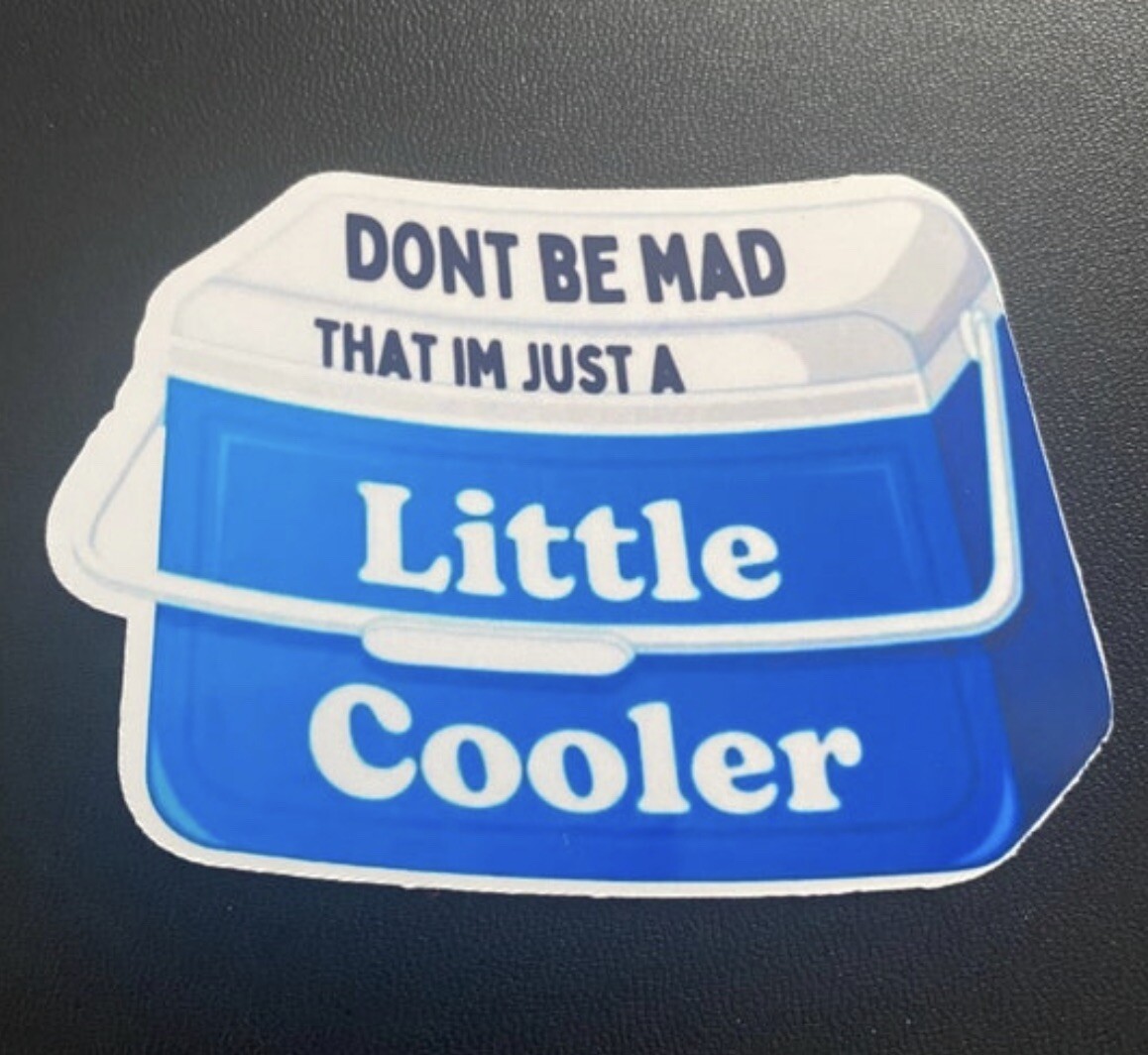 Don't Hate Me Just Because I'm A Little Cooler Vinyl, Water Resistant Sticker