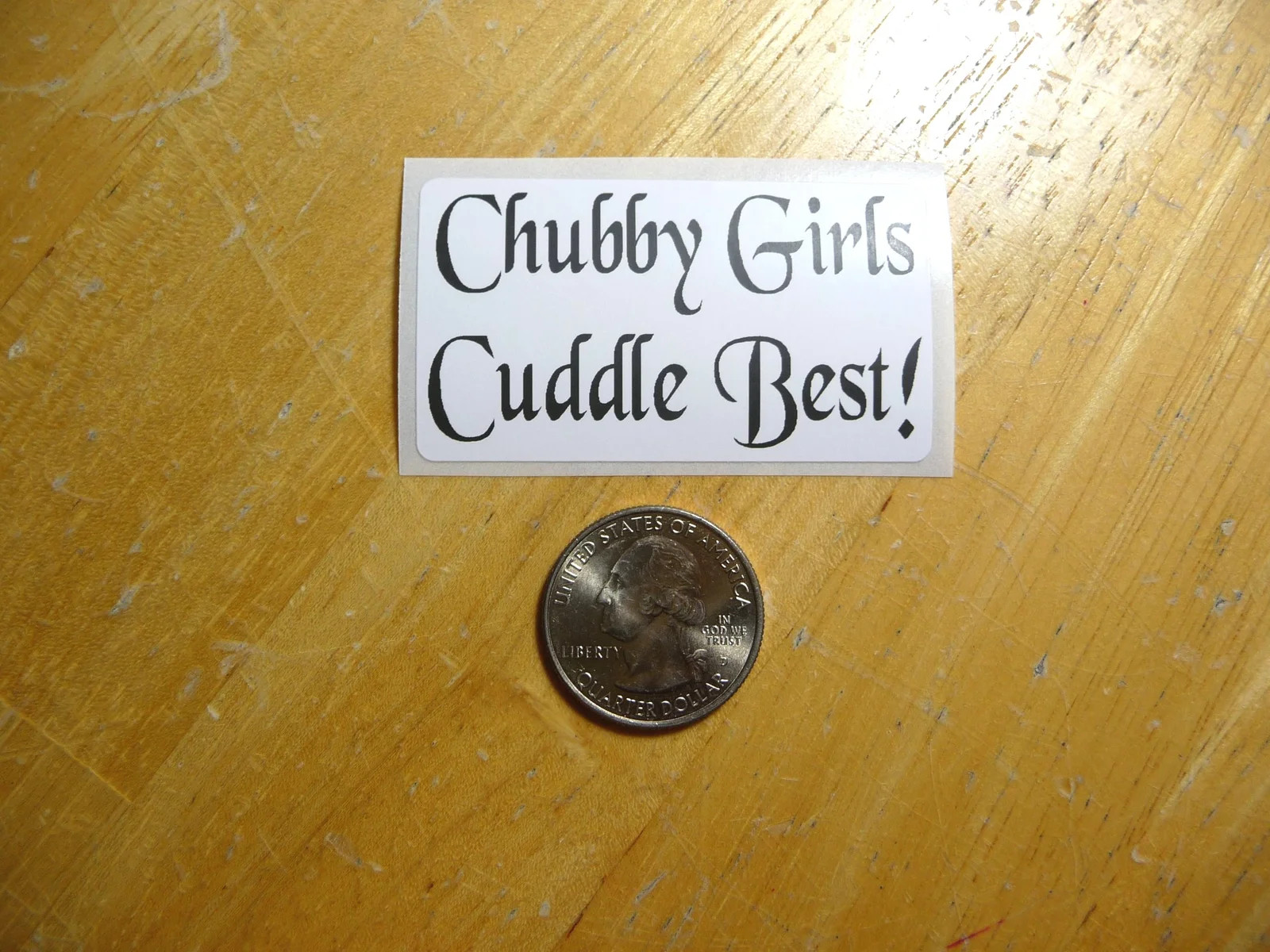 CHUBBY GIRLS CUDDLE BEST STICKER DECAL 1 – 50 BULK PACK FUNNY LOVE LOVING