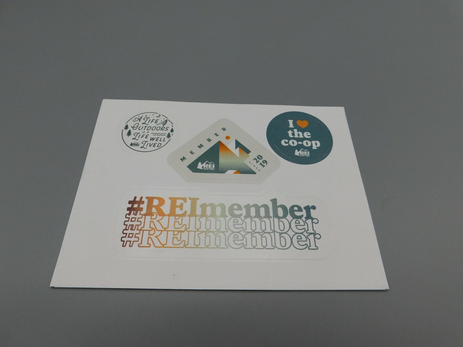 REI Co-op 2020 MEMBER Rainbow 4 paper STICKERS on Sheet Decal