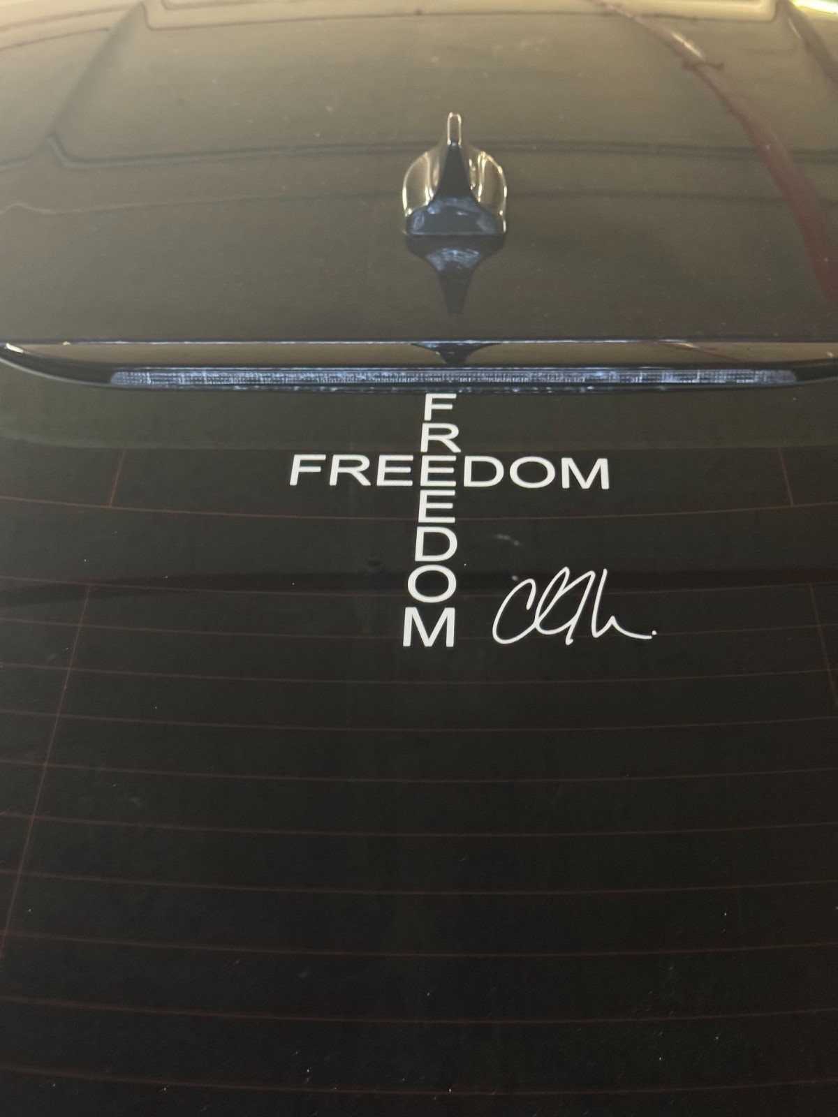 FREEDOM Decal / BEST PRICE / FREE SHIPPING / Color & Size Options