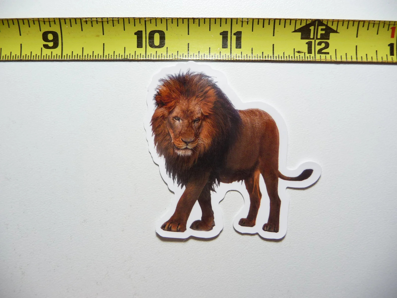 LION CAR SCANNING GROUND SMALL STICKER DECAL WILDLIFE PRESERVE NATURE ANIMAL