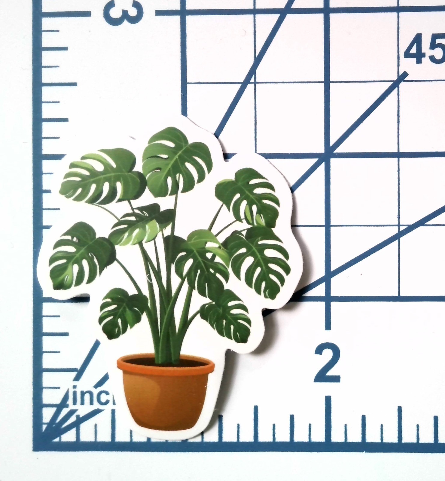 Vinyl Sticker Die Cut Monstera Deliciosa House Plant Decal Journal Scrapbook