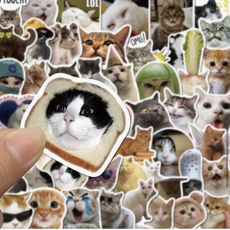 Cat Kitty Sticker Seal random 3Peace Ship Japan