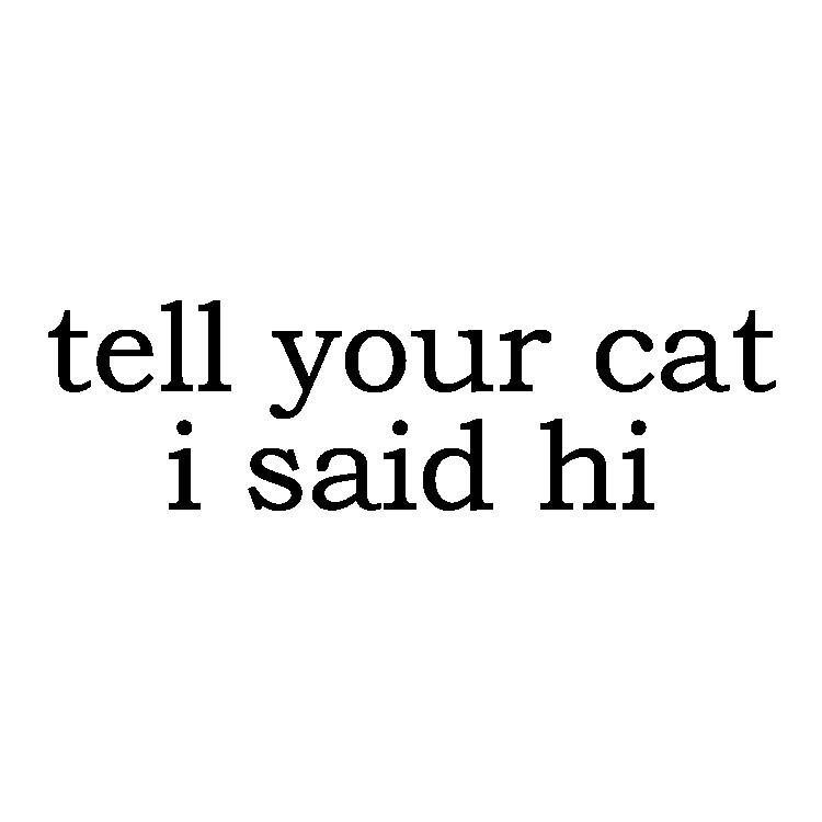 Tell Your Cat I Said Hi Decal Funny Dog Car Sticker Vinyl Window Laptop Pet Love