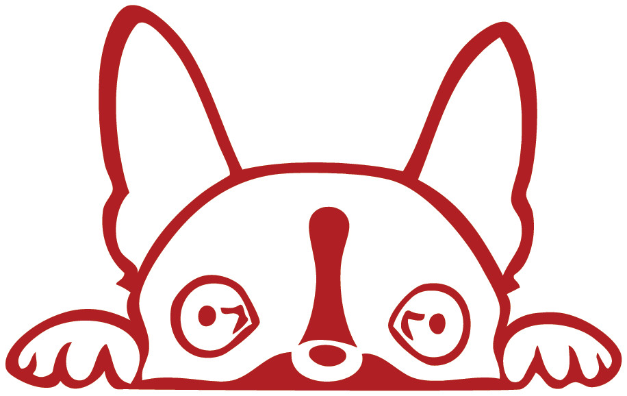 Boston Terrier Peeking Die Cut Vinyl No Background Multiple Color Decal Made USA