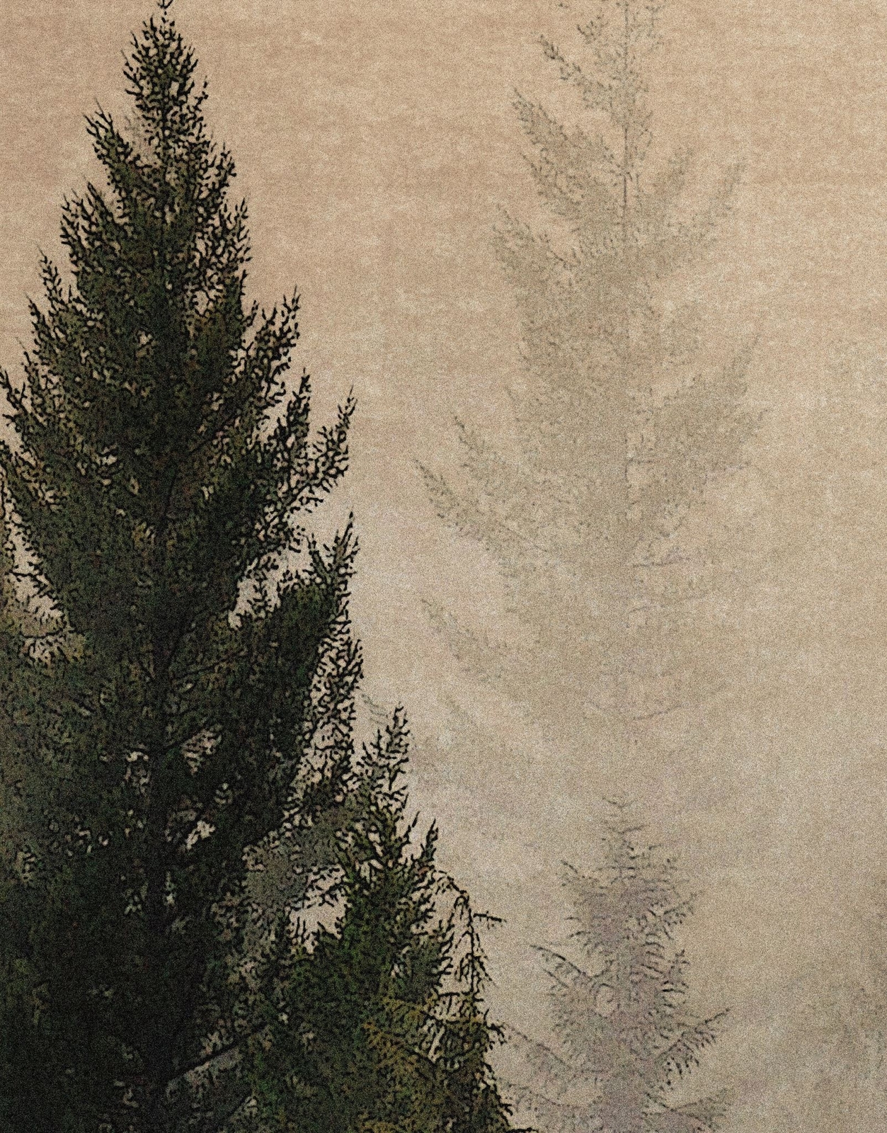 Misty Pine Tree Forest Landscape Wallpaper. Peel and Stick Wall Mural. Self Adhe