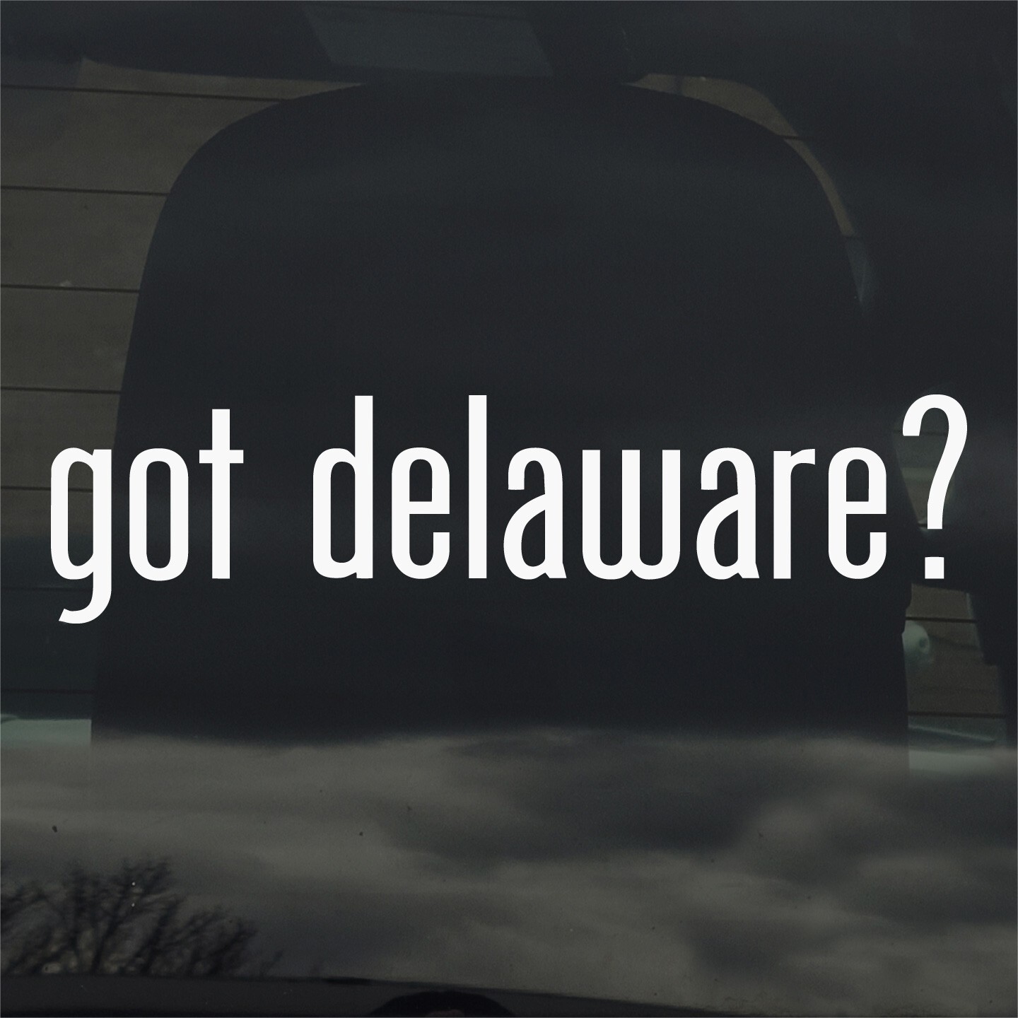 Got Delaware? Vinyl Sticker Decal for Car Window Laptop & More