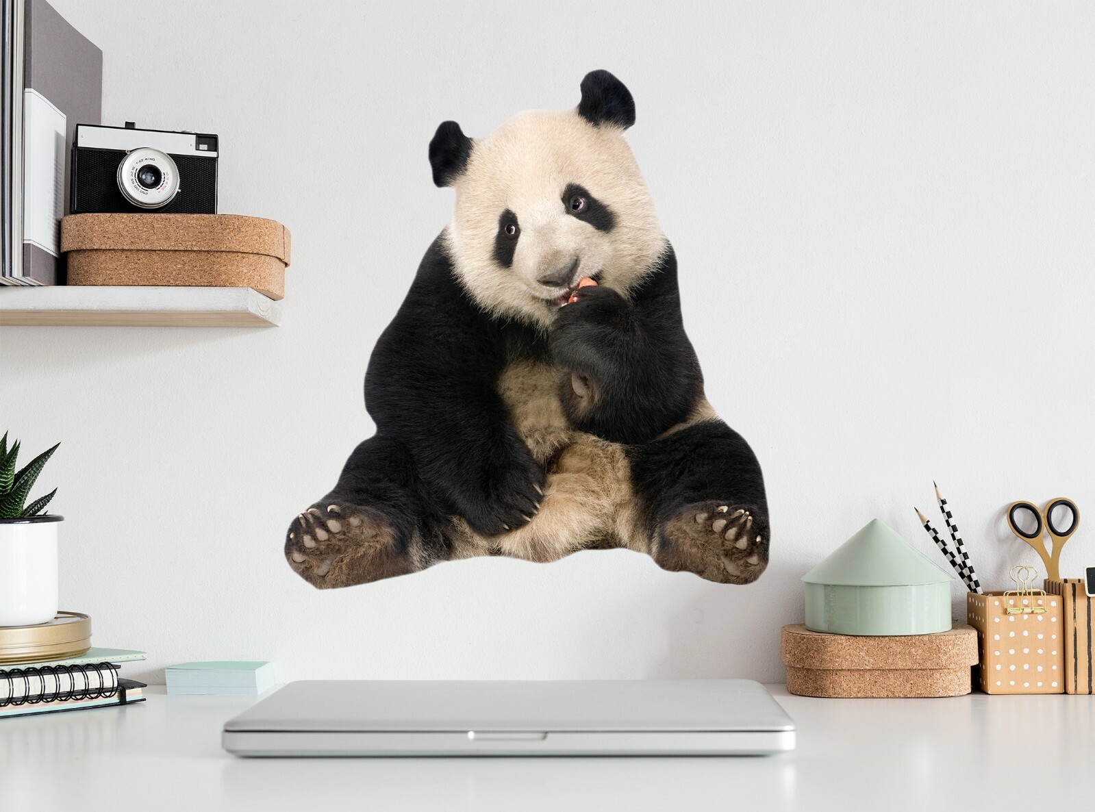 3D Cute Panda G647 Animal Wallpaper Mural Poster Wall Stickers Decal Honey