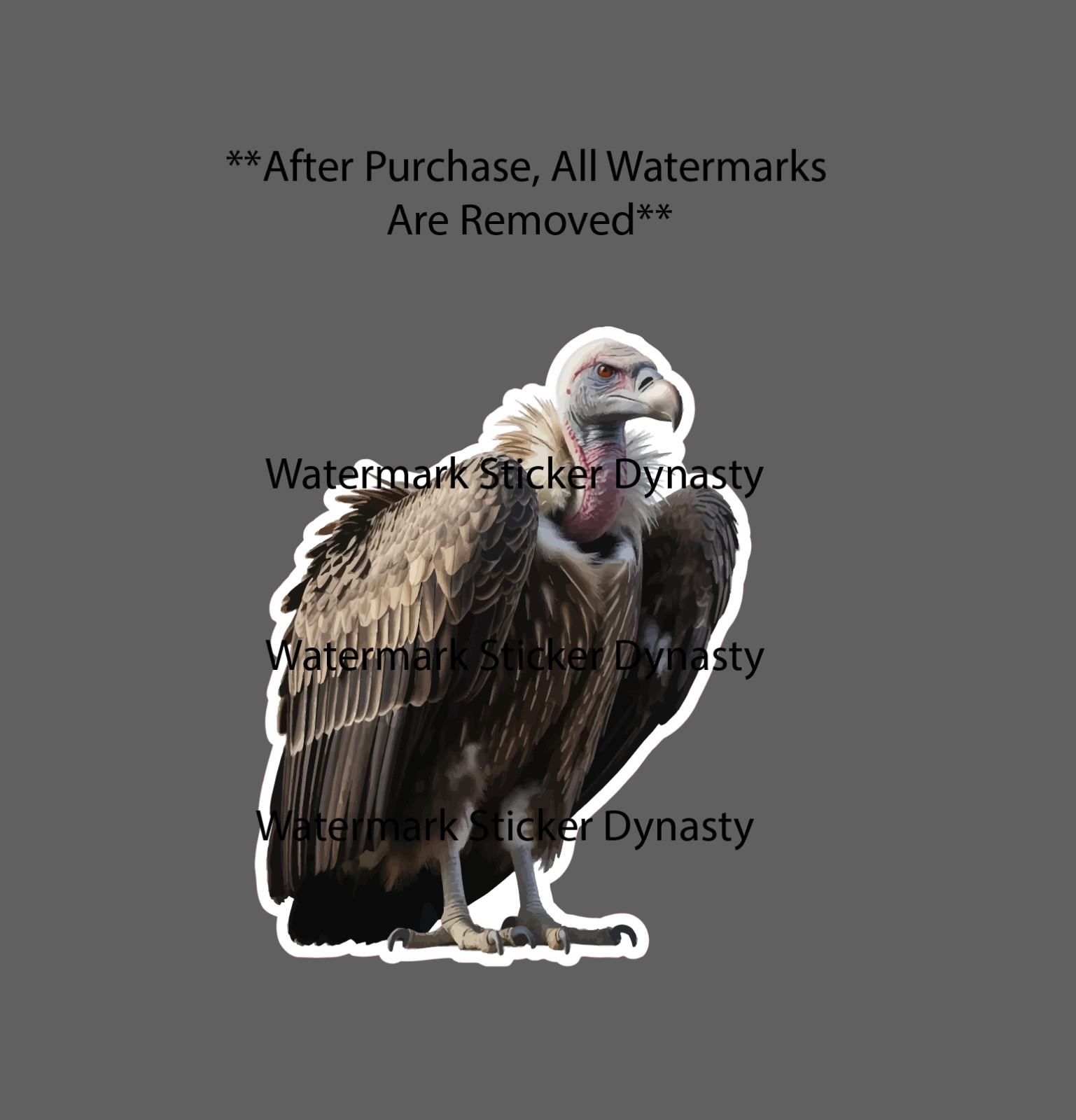 Vulture Sticker Waterproof Decal Realistic Bird Animal Scavenger Gift NEW