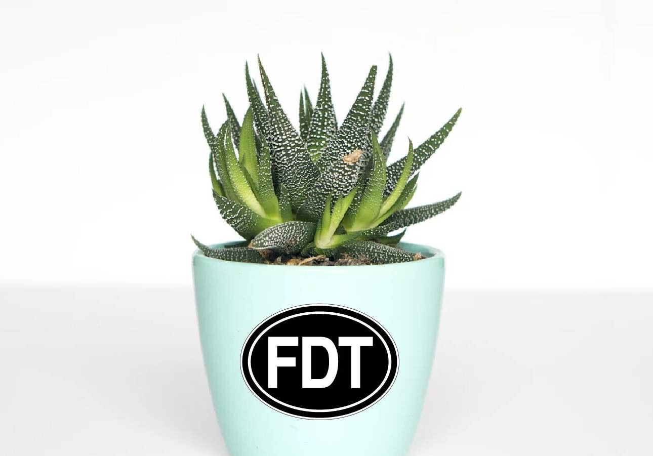 FDT Decal Sticker F Donald Trump Democrat Liberal Hillary Biden Kamala Harris US