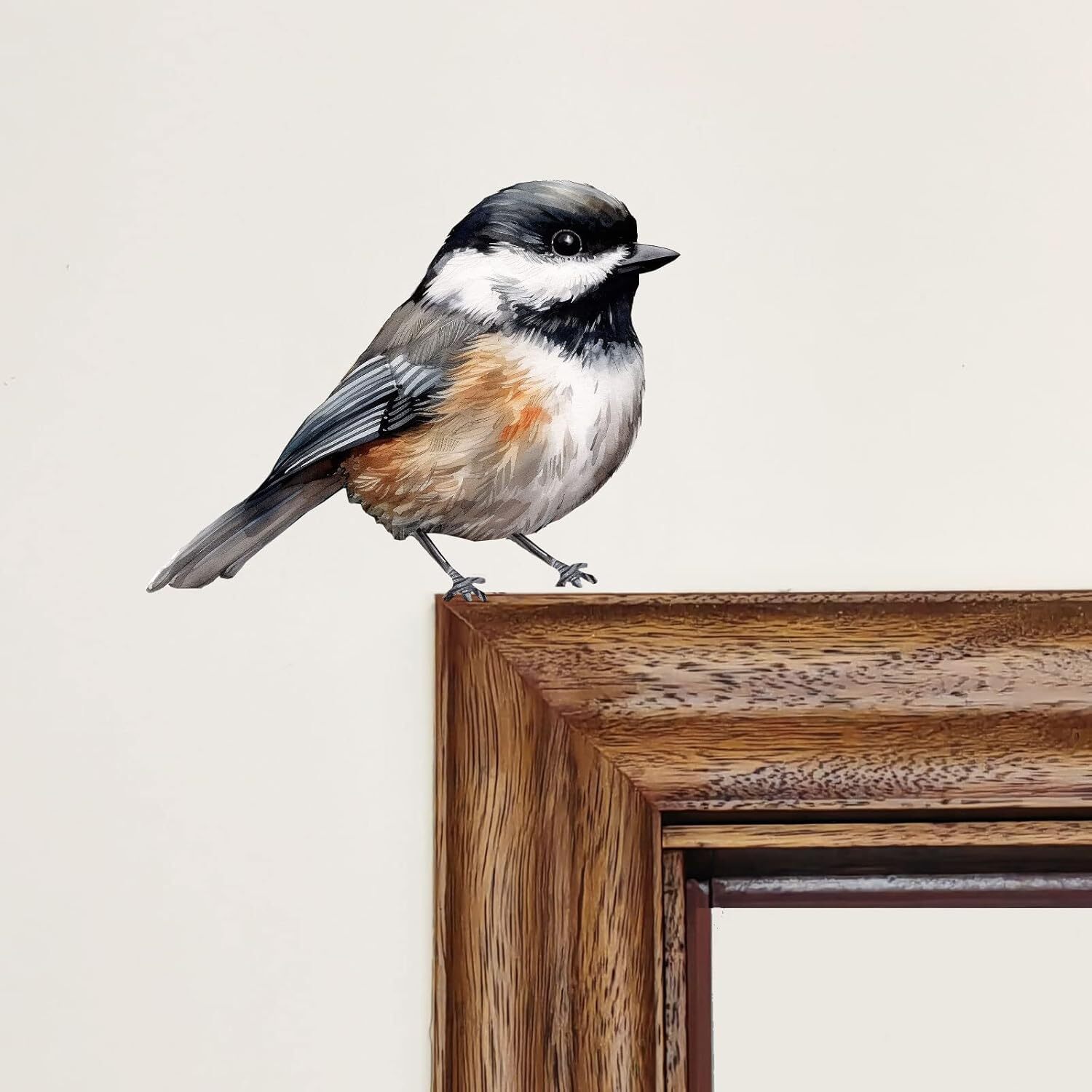 Black-Capped Chickadee, Wall Sticker, Bird Vinyl, Nursery Stickers, Medium
