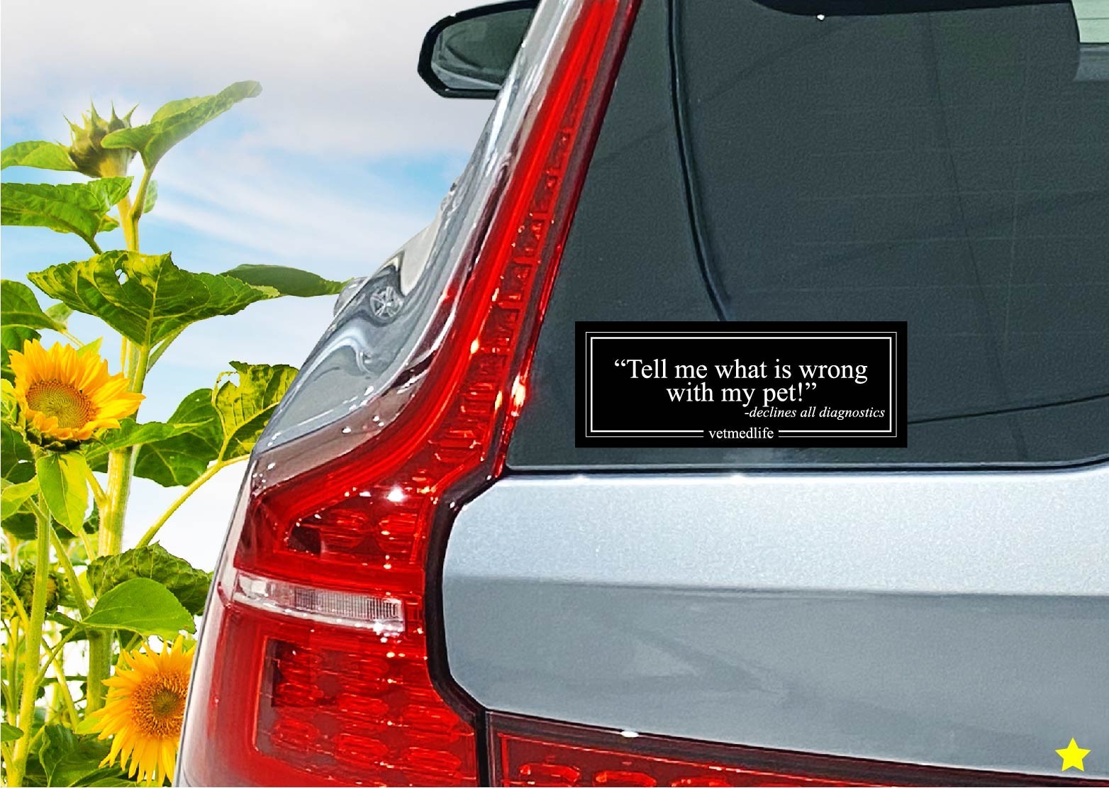 Decal Sticker Whats Wrong With My Pet Declines Diagnostics Vet RVT Med Life Dog