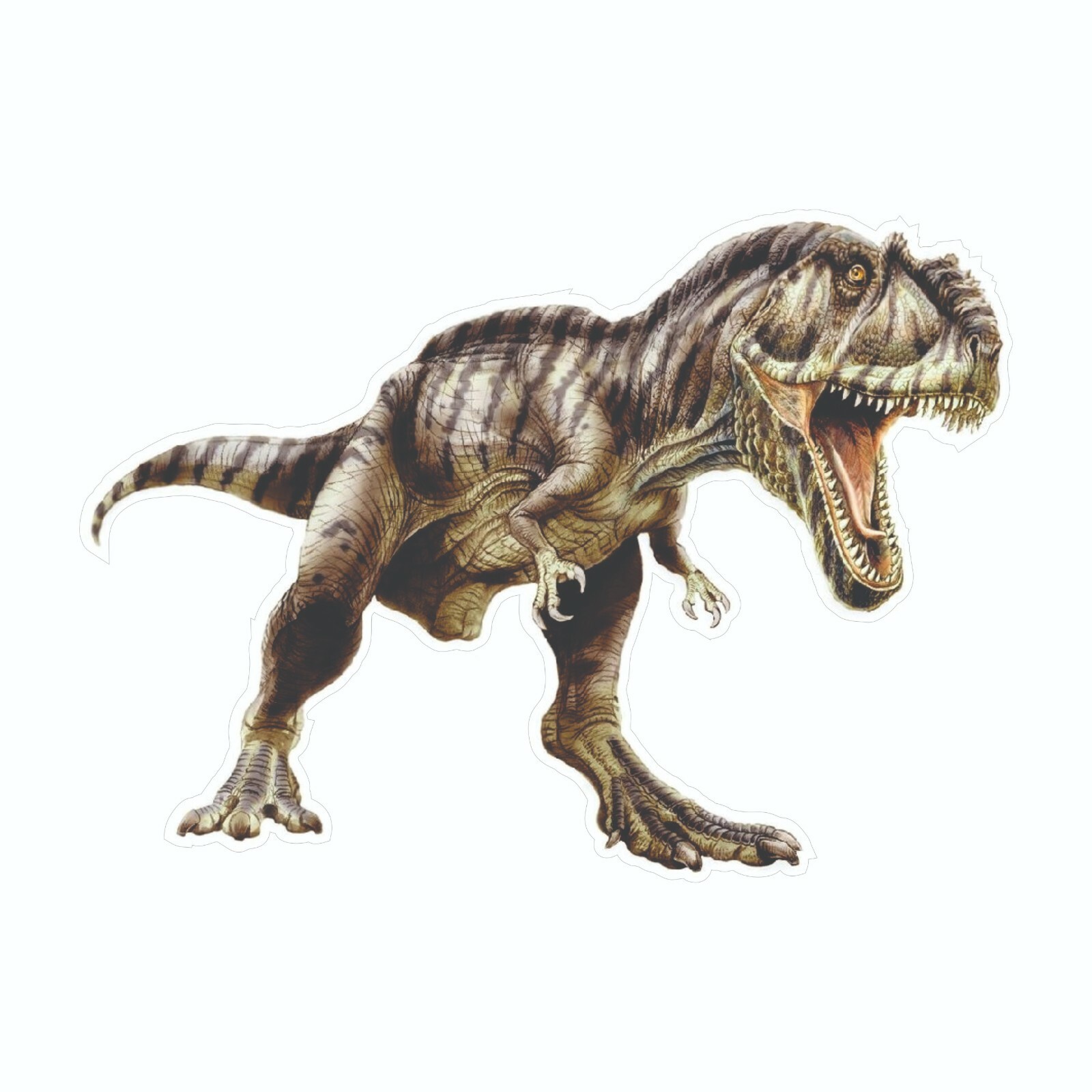 Dinosaur Sticker, Giganotosaurus Decal, Bumper Sticker T-Rex