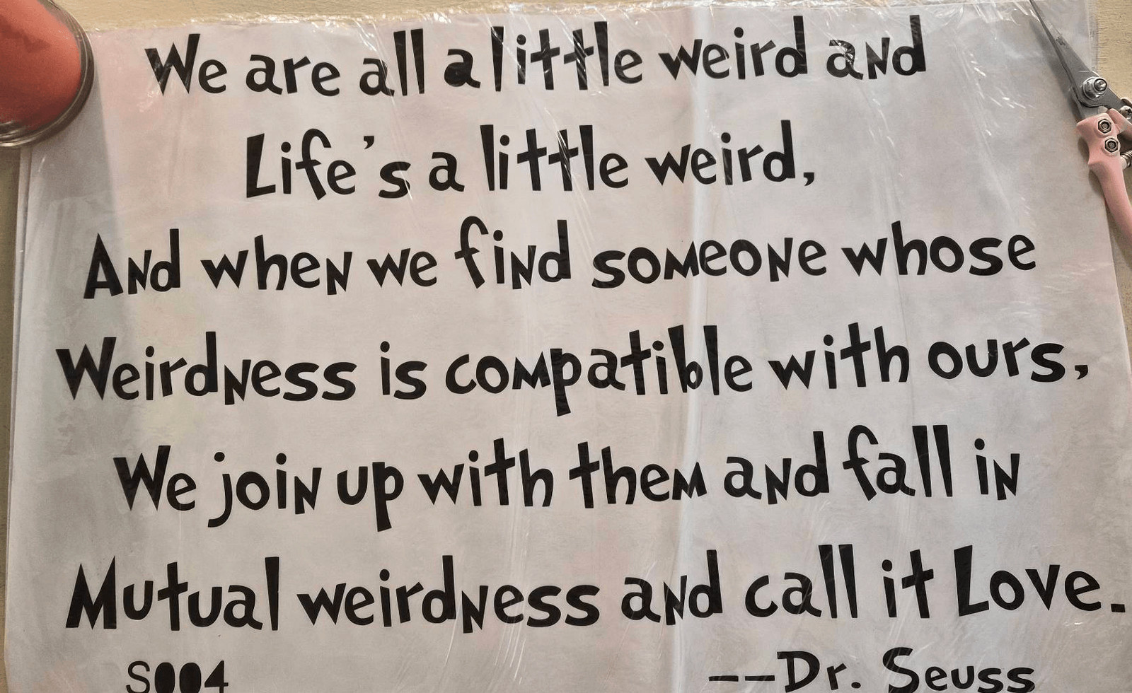 NWT Dr Seuss Vinyl Decal: We Are All A Little Wierd, Fall in Love Newlyweds Gift