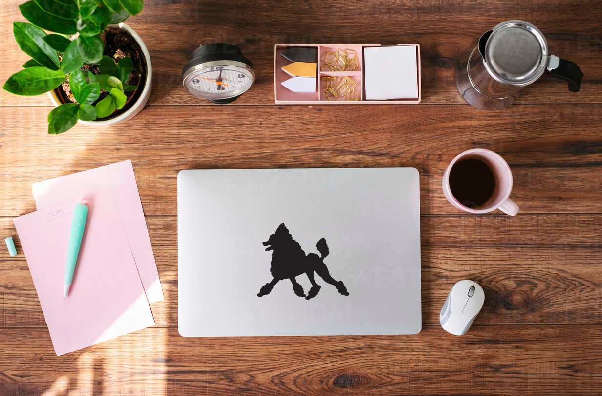 Custom Poodle Silhouette Vinyl Decal – Personalize Your Pet's Style! – 9064