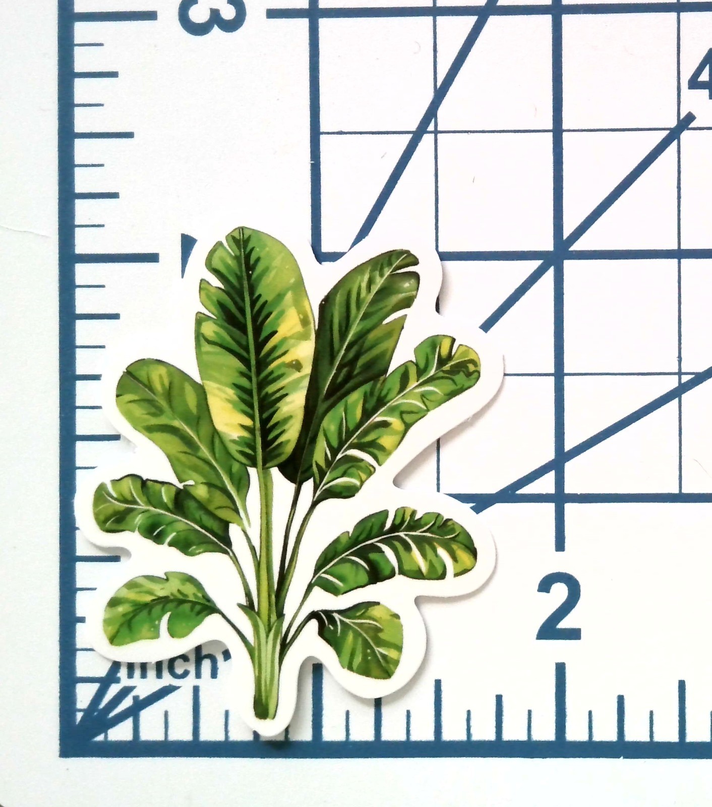Vinyl Sticker Die Cut Split Leaf Tropical Decal Jungle Houseplant Plant Lover