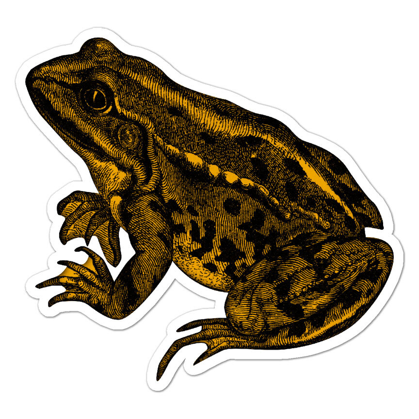 Frog, Vinyl Decal Sticker, Indoor Outdoor, 3 Sizes, #9647