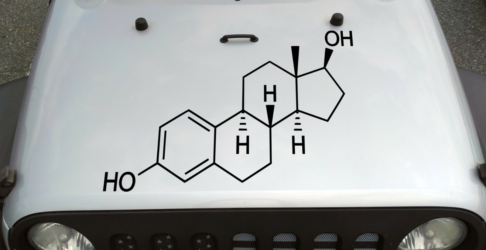 Estrogen Vinyl Decal – Chemical Compound Composition Feminine – Die Cut Sticker