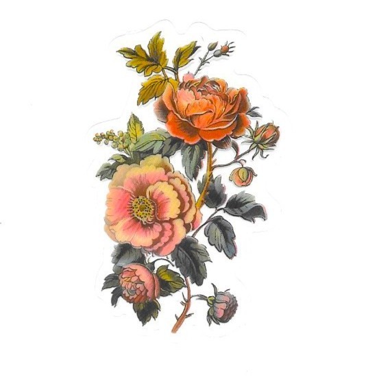 Victorian Rose Vinyl Sticker Transparent Pink Orange Floral Vintage Ephemera