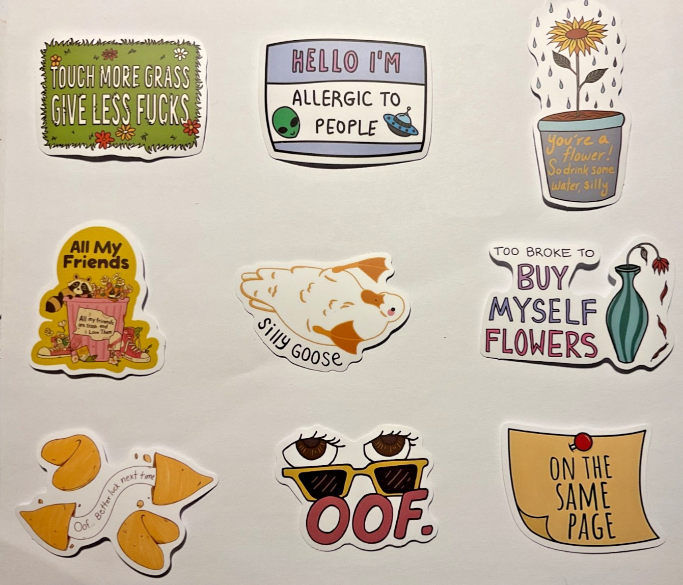 Adult Humor Meme Waterproof STICKERS DIY phones, scuba, helmets, cases