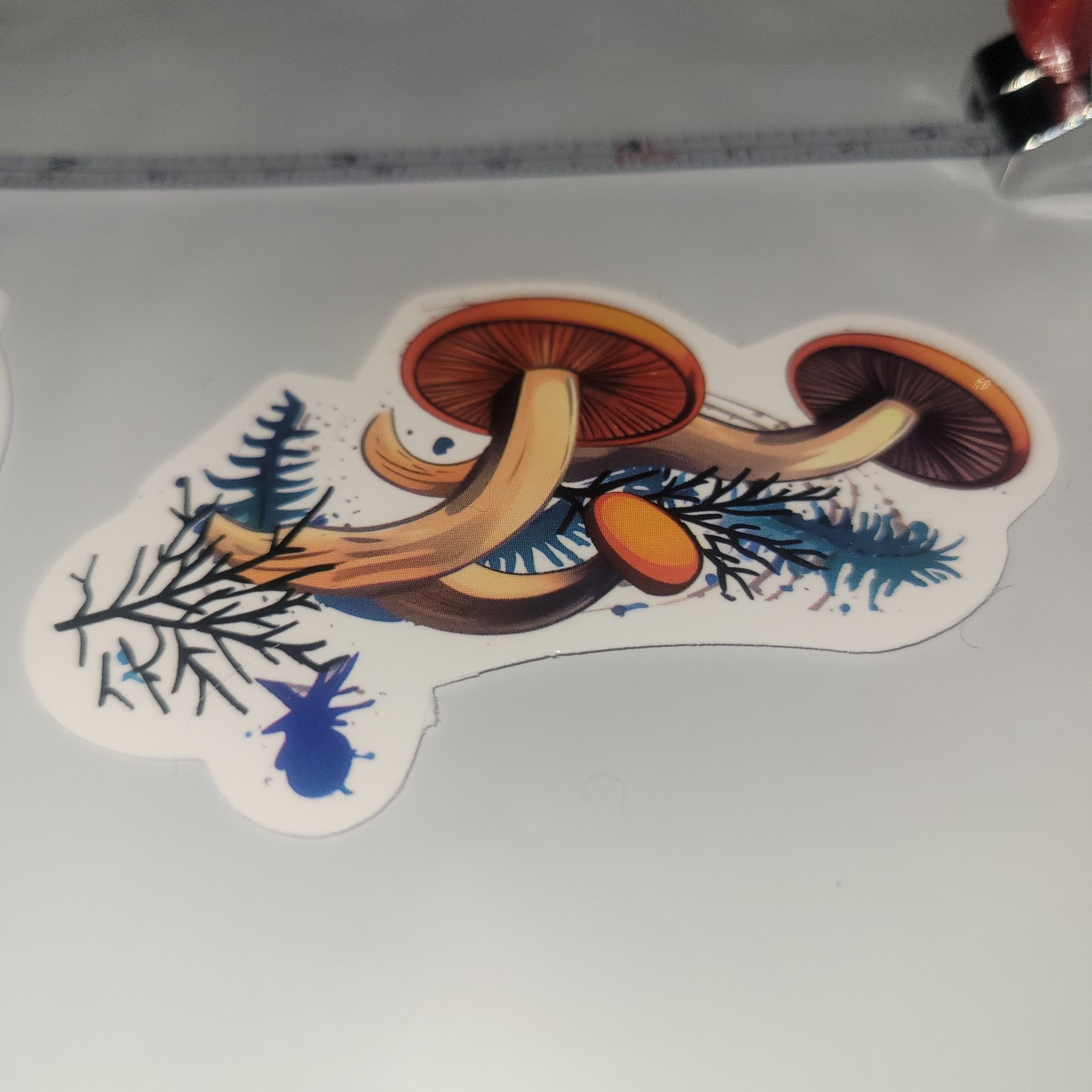 Mushroom Stickers Set Of 2 Waterbottle Laptop Locker Mirror 2.5/3 in X 1.5/2 in