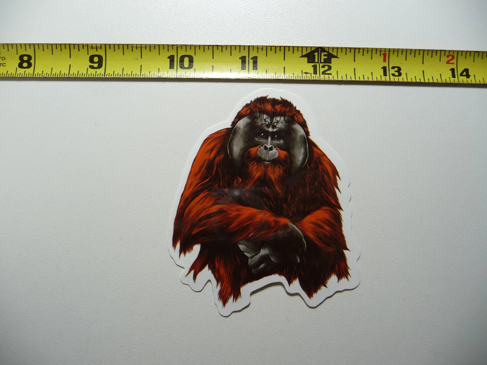 ORANGUTAN SMALL STICKER DECAL ZOO ANIMAL WILD FUN FUNNY