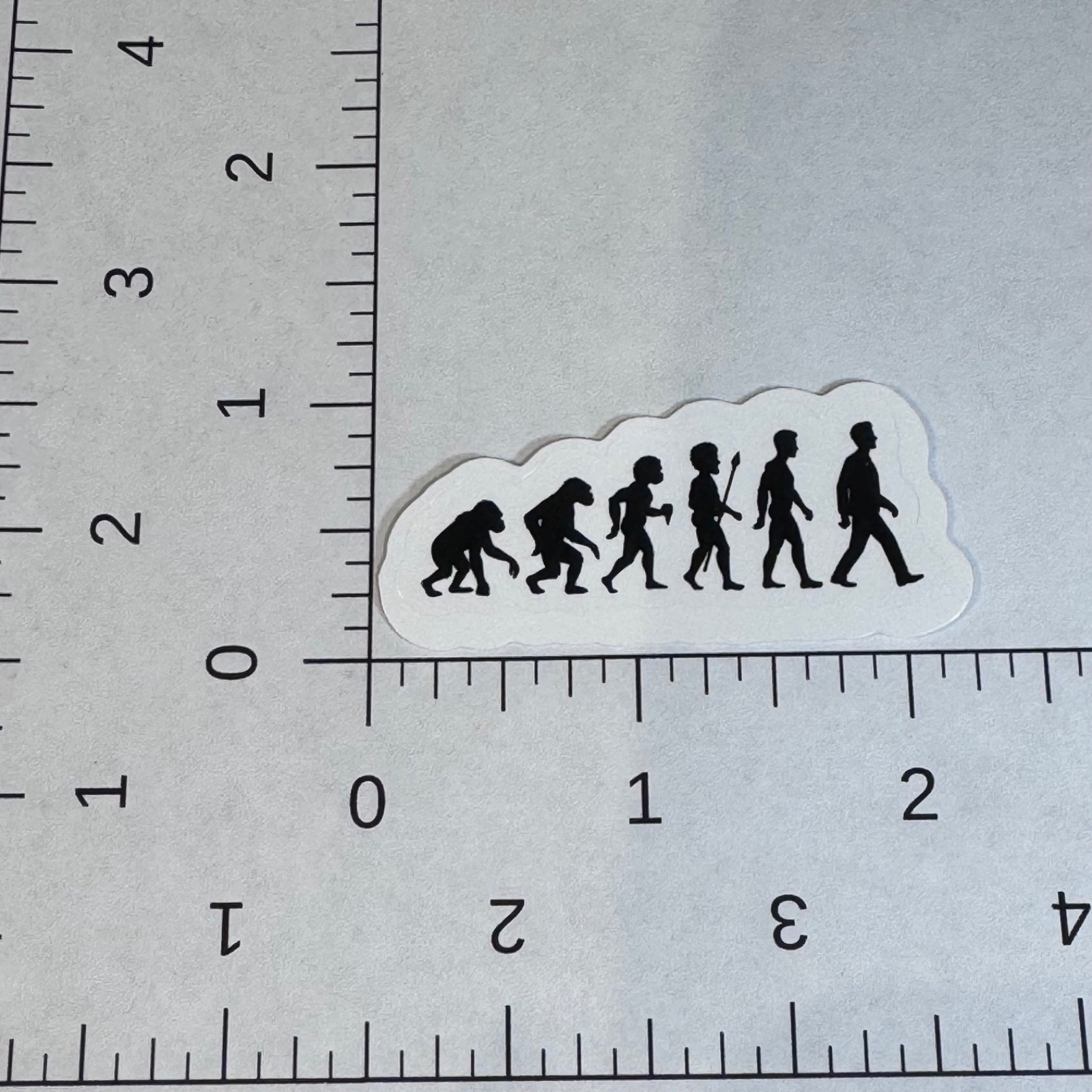 Evolution of Homo sapiens sticker 2” water bottle mug locker hard hat lunch box
