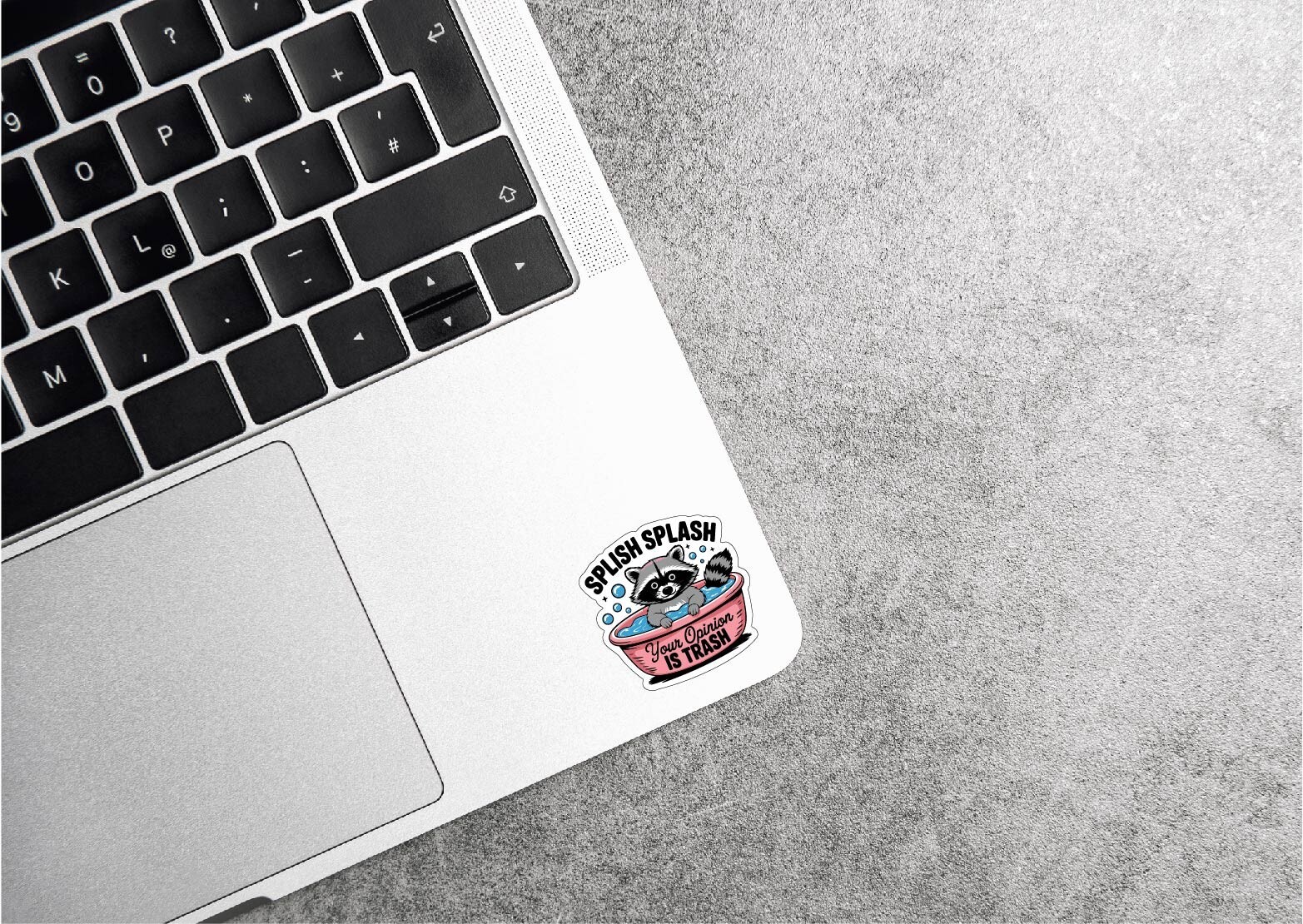 Your Opinion is Trash Decal Sticker Raccoon Bath Splash Garbage Panda Judge Life
