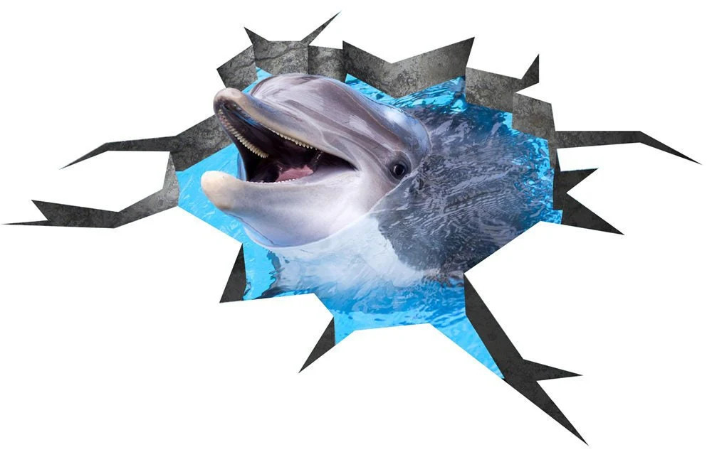 3d Dolphin Stickers For Floor – 3d Floor Dolphin Decals Stickers 3d – 3d