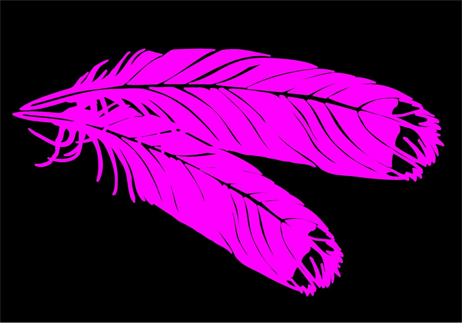 Feathers Decal vinyl bird avian feather car truck window wall sticker graphic