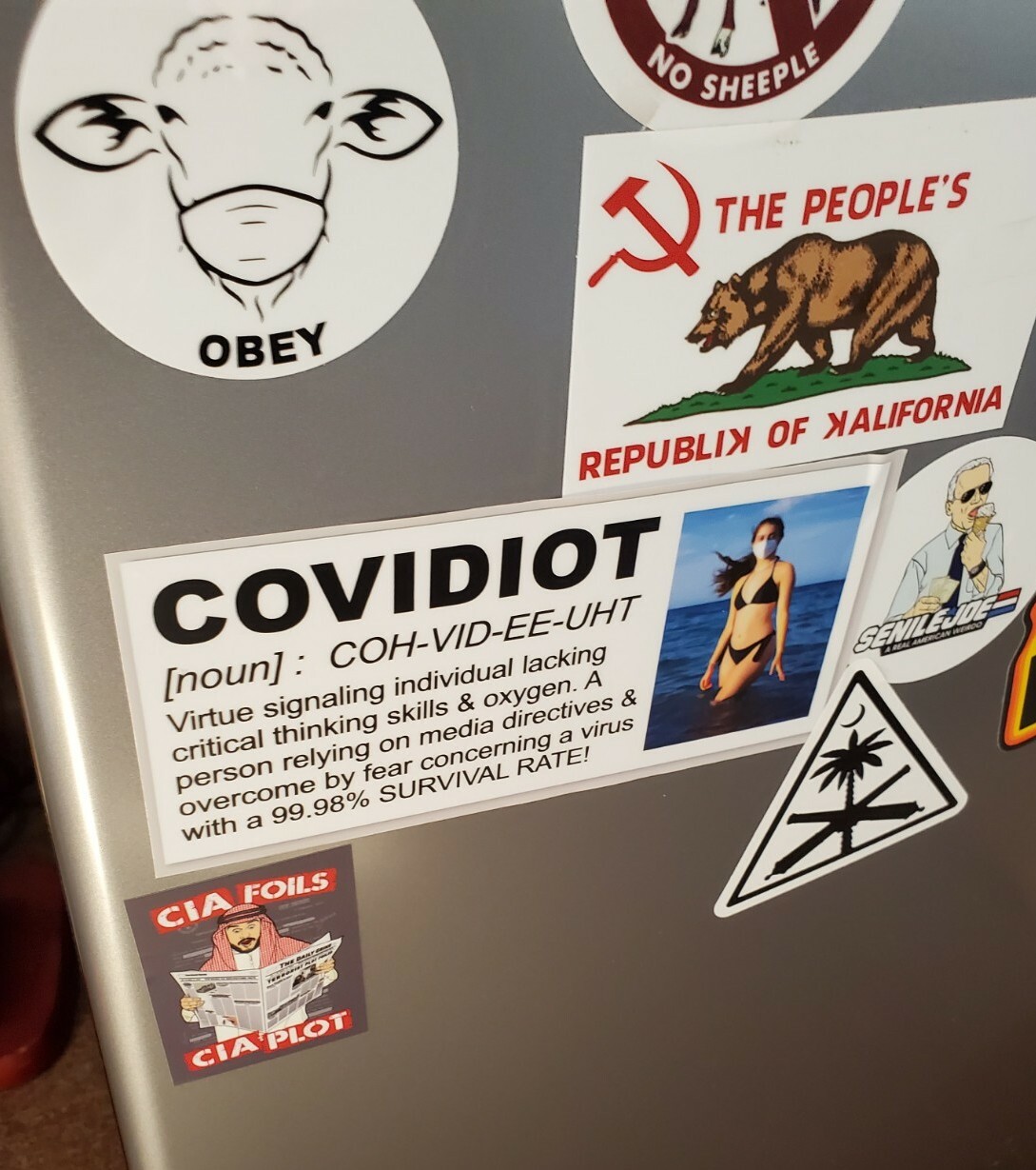 Trash Panda