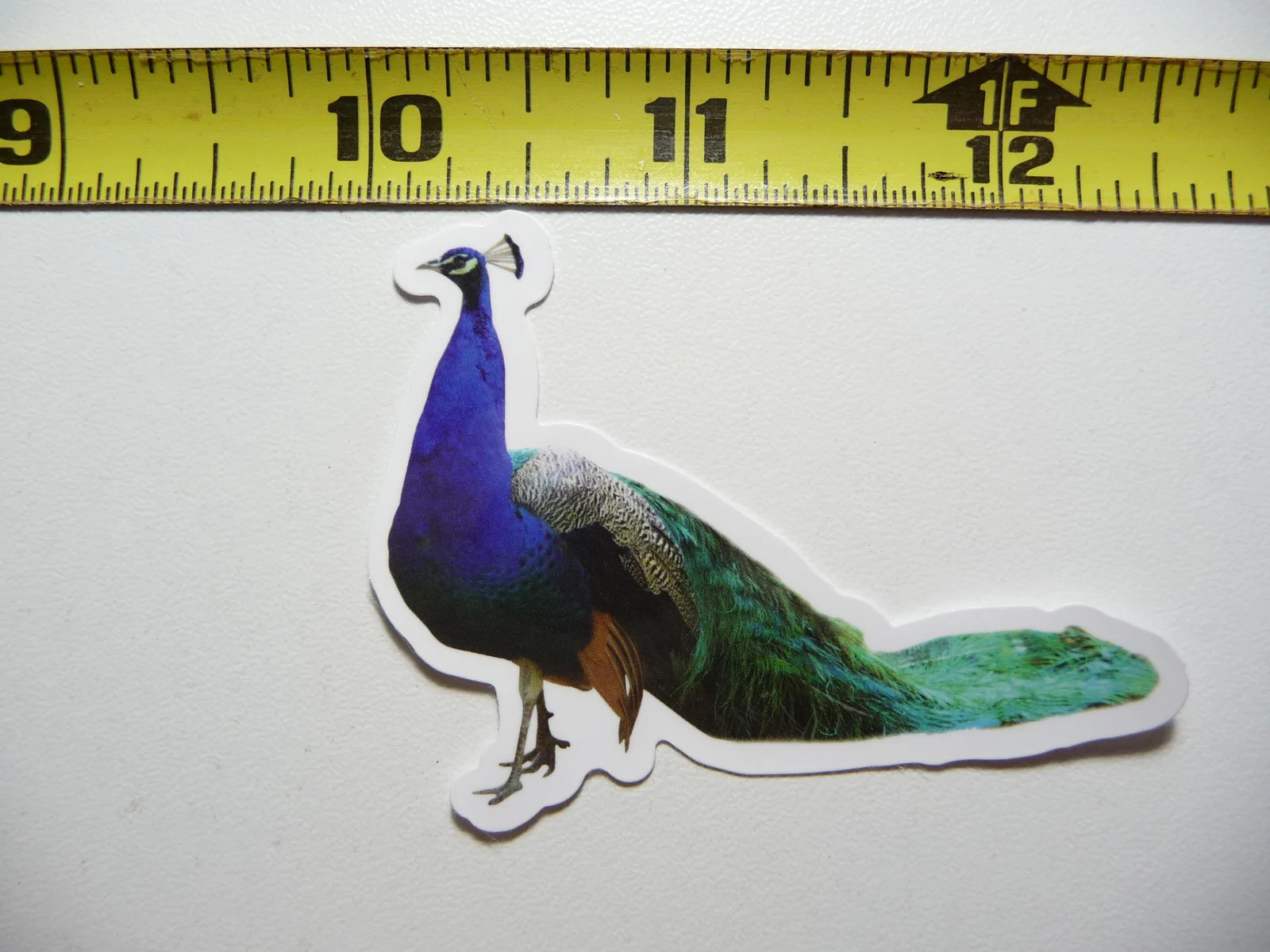 MALE PEAFOWL PEACOCK BIRD SMALL STICKER DECAL WILDLIFE PRESERVE NATURE ANIMAL