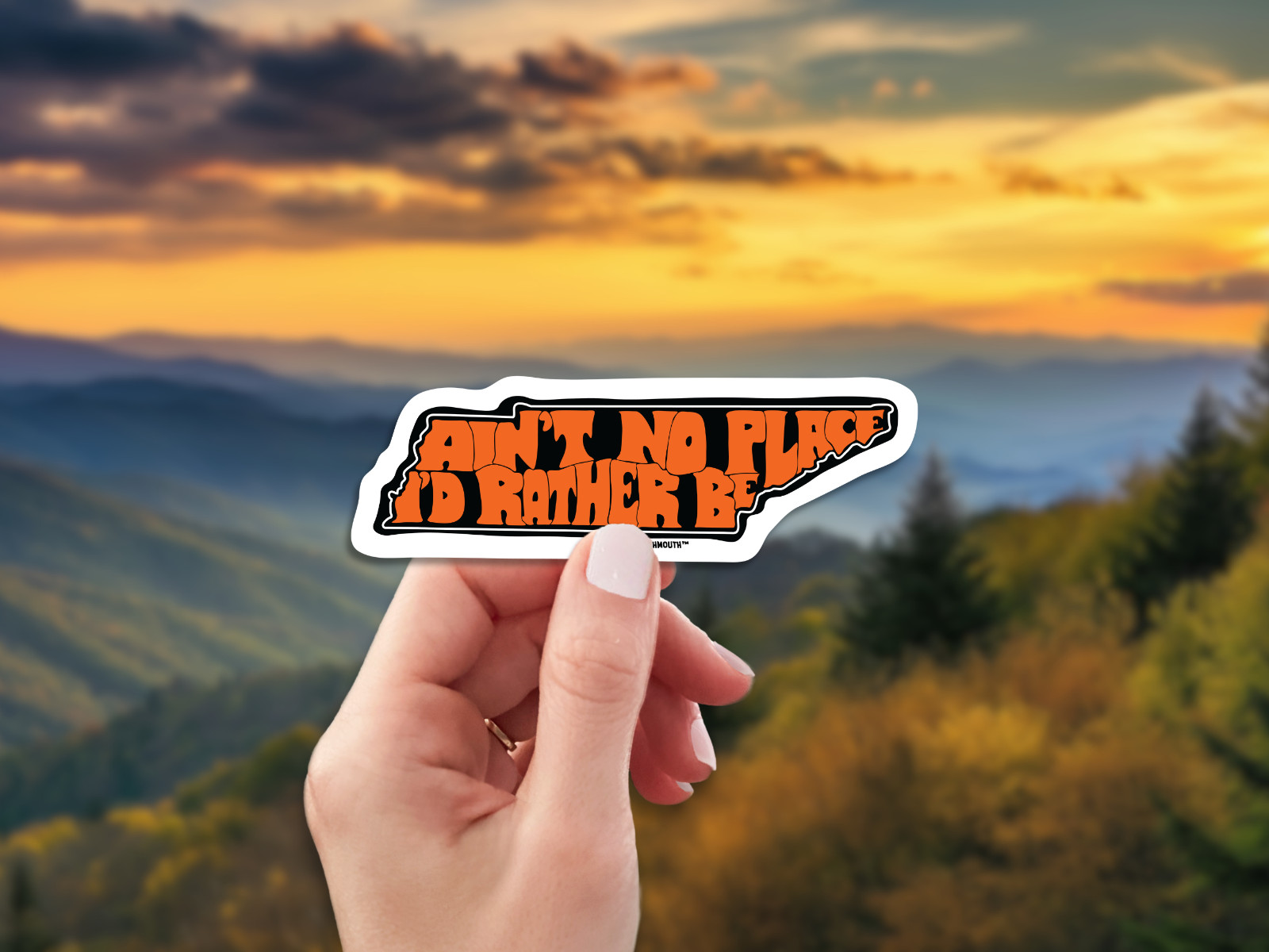 TENNESSEE AIN'T NO PLACE I'D RATHER BE BUMPER STICKER LAPTOP TRAVEL DECAL