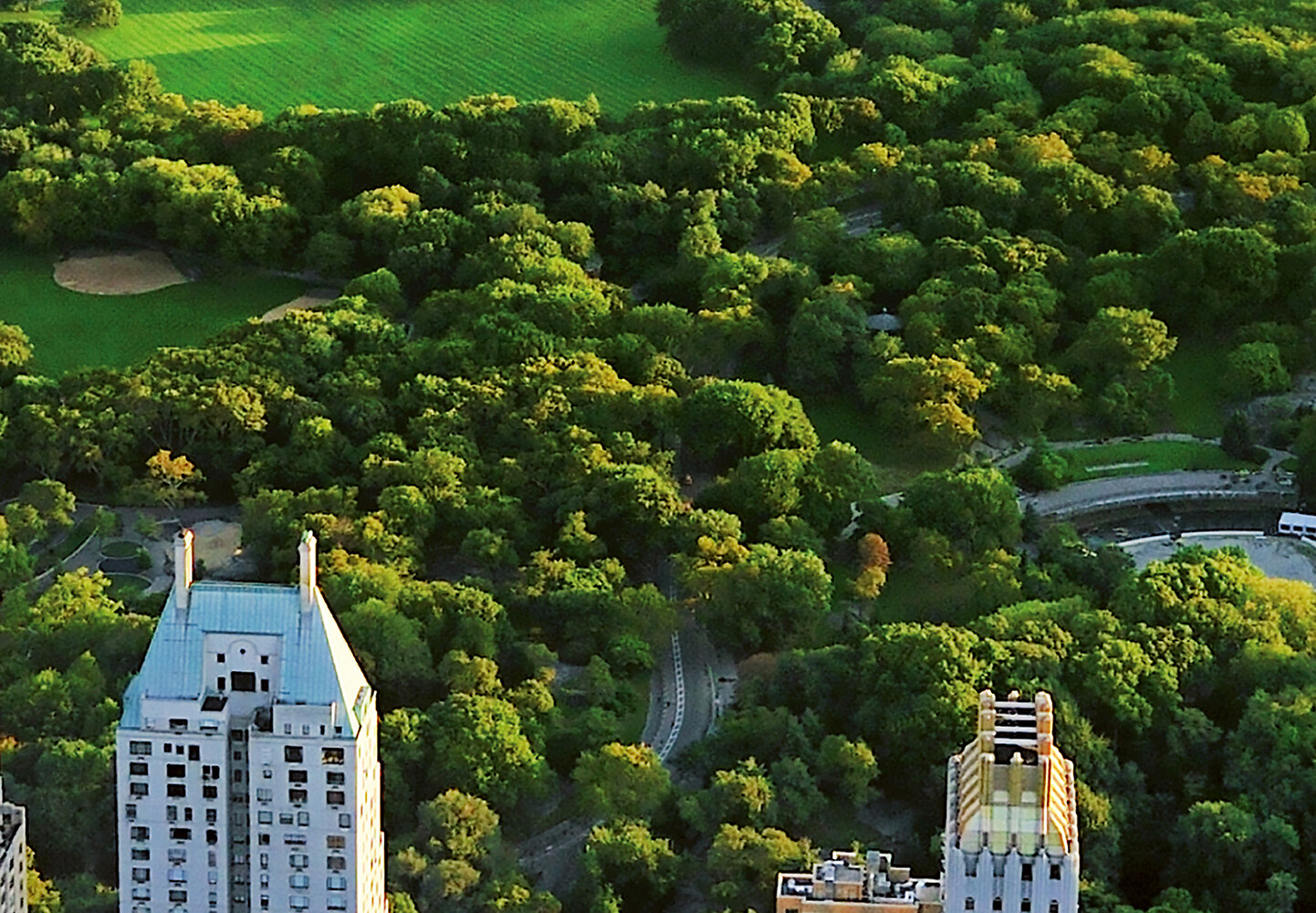 CENTRAL PARK Mural 144×100" Removable Wallpaper NEW YORK Manhattan City View DIY
