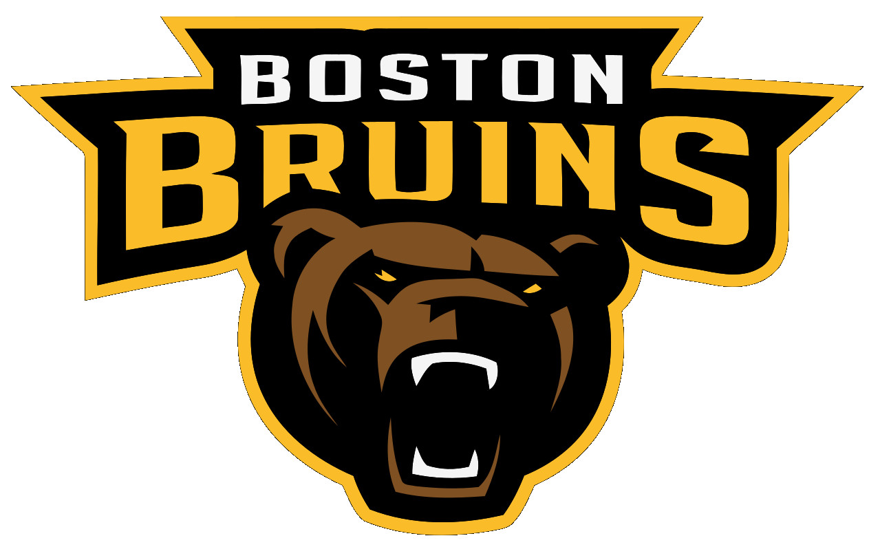 Weather Resistant Vinyl Sticker – Boston Bruins 11