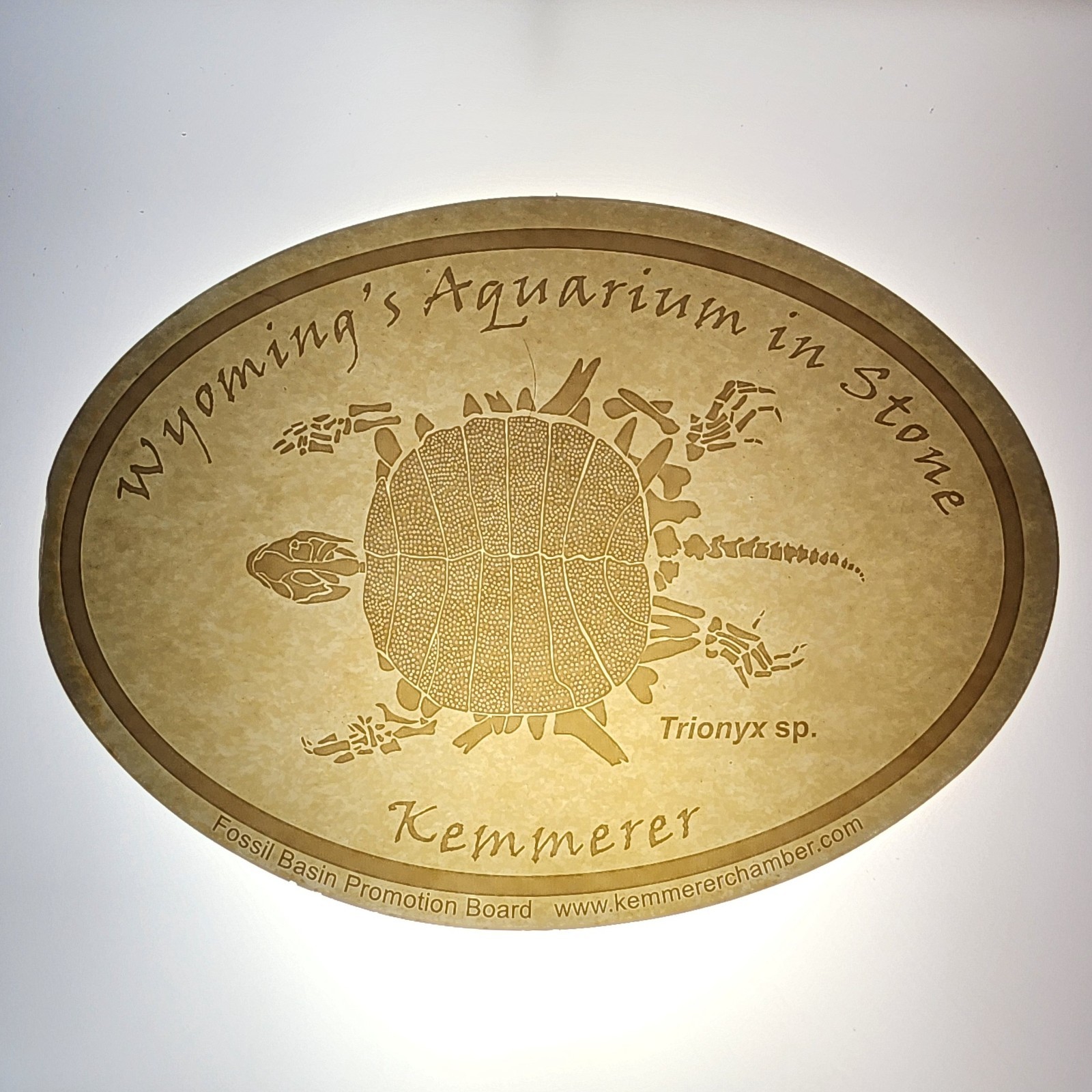 Fossil Butte National Monument WY An Aquarium in Stone Kemmerer Decals CLEAR/WHT