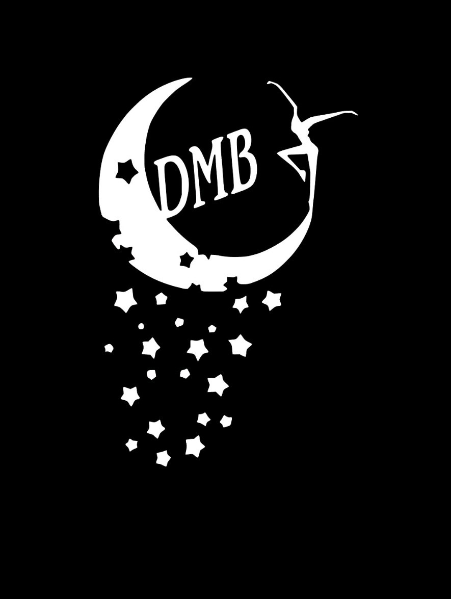 Custom DMB Equality Vinyl Decal Car Window Laptop Tumbler 4×6 Inch!