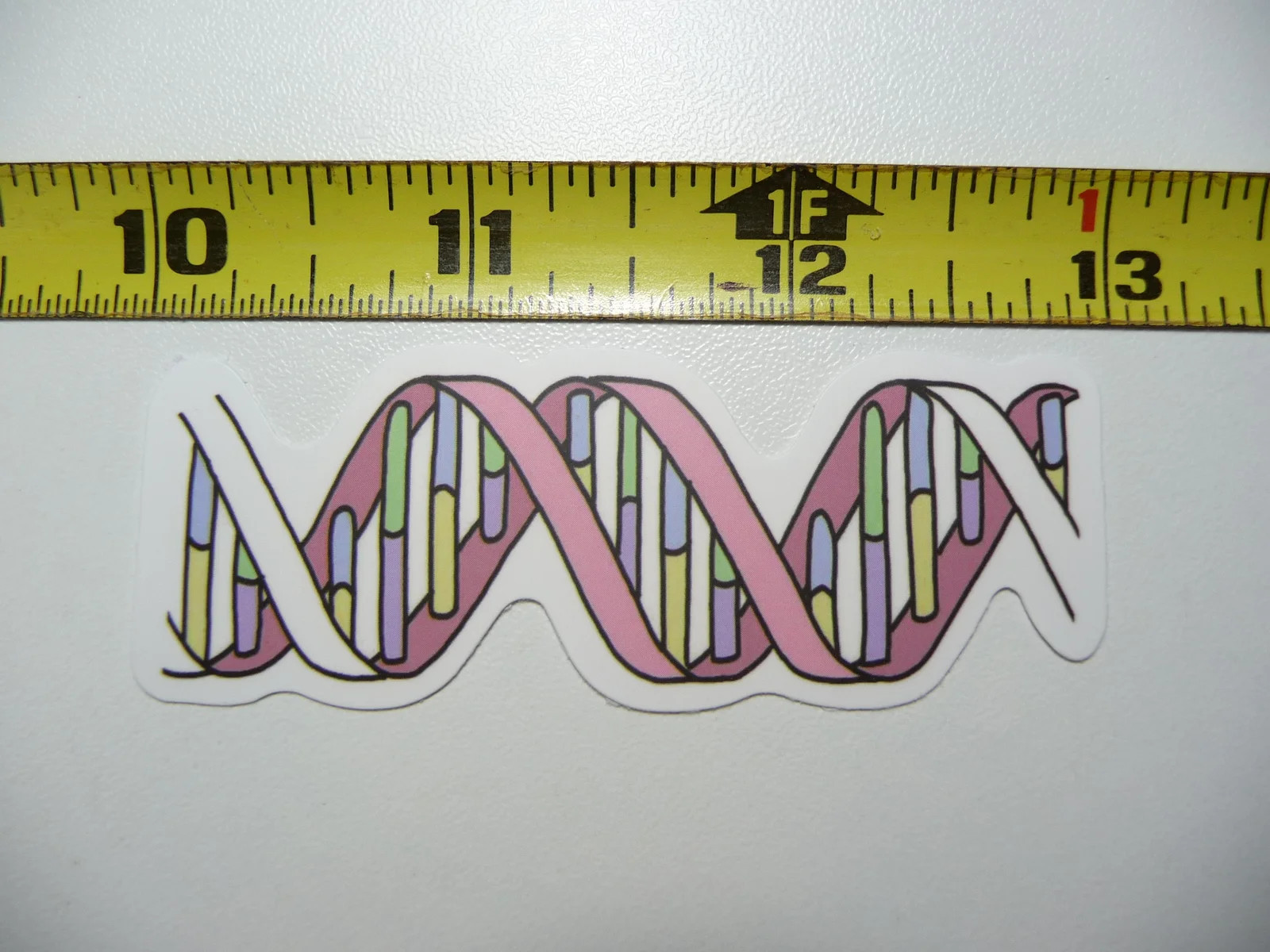 DNA HELIX DIAGRAM SMALL STICKER DECAL SCHOOL TEACHER PROFESSOR FUNNY