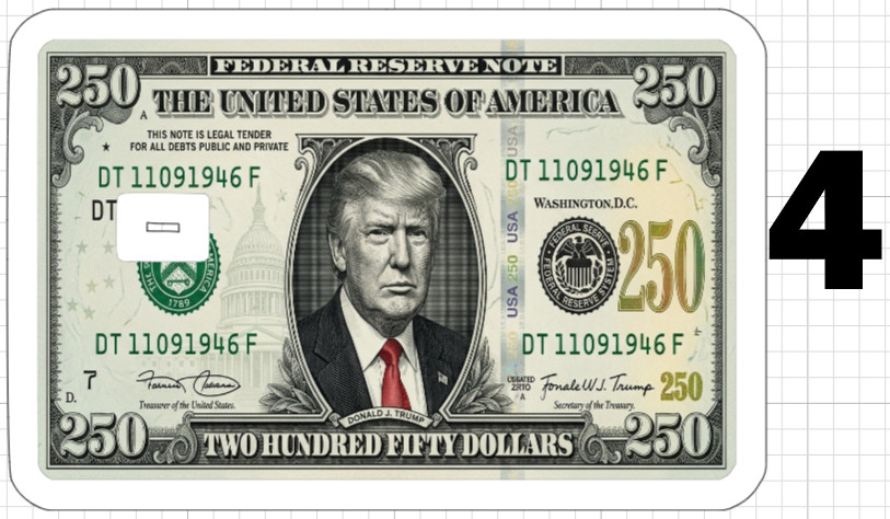 Donald Trump 250 Dollar Bill Credit ATM Debit Gift Card Skin Sticker MAGA Money