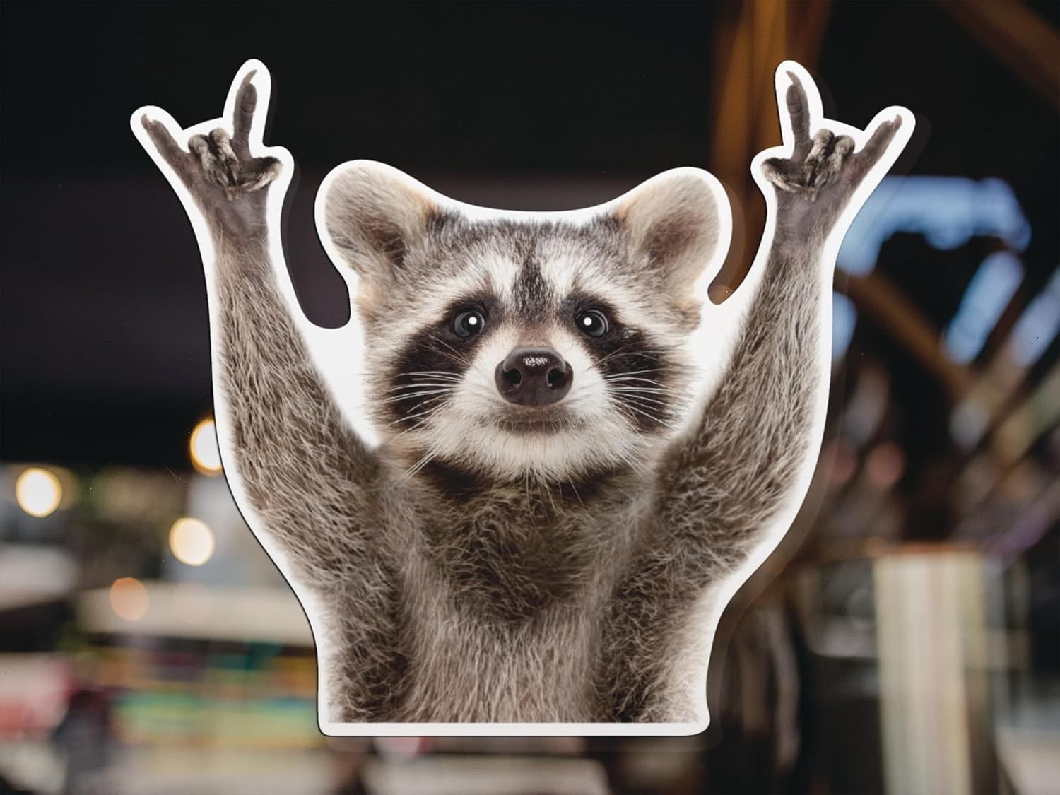 Rocking Raccoon Sticker, Funny Raccoon Cute Car Decal 5.5-Inches Decal Car La…