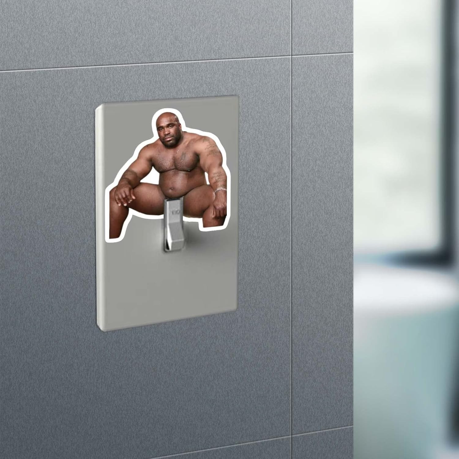 10 Waterproof Barry Wood Light Switch Stickers for Fun Home Decor (10 Pcs)