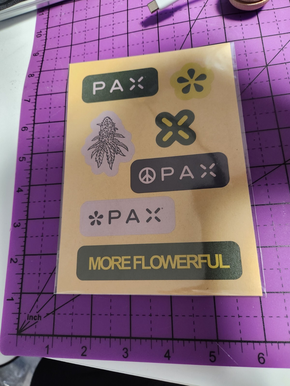Pax lab sticker sheet decal