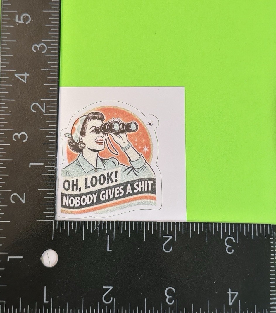 Retro VTG GenX ‘Oh Look Nobody Gives A $h*t’ 2” Inch Vinyl Sticker Decal Funny