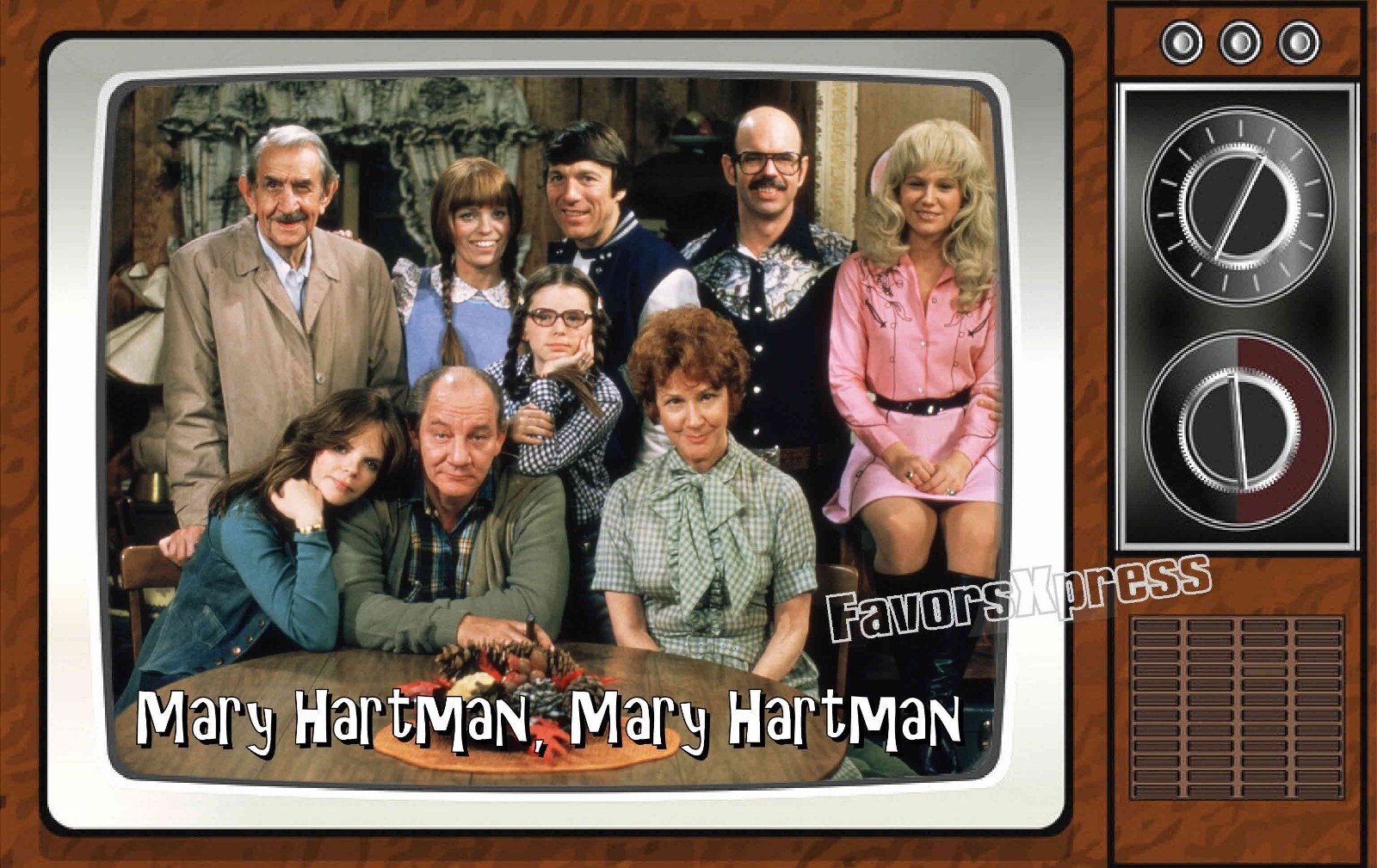 Mary Hartman Classic TV Show PHOTO MAGNET 4 X 2.5 INCHES