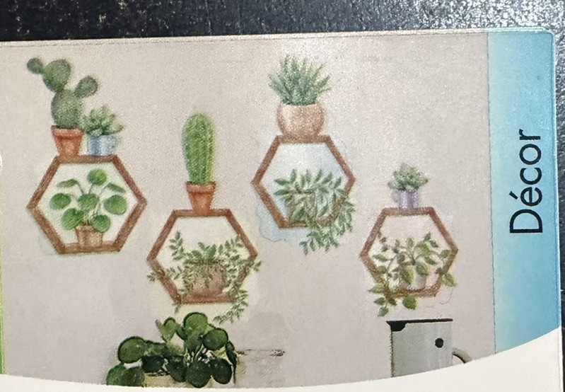 Hexagon Plants Cactus Peel & Stick Jumbo Wall Stickers