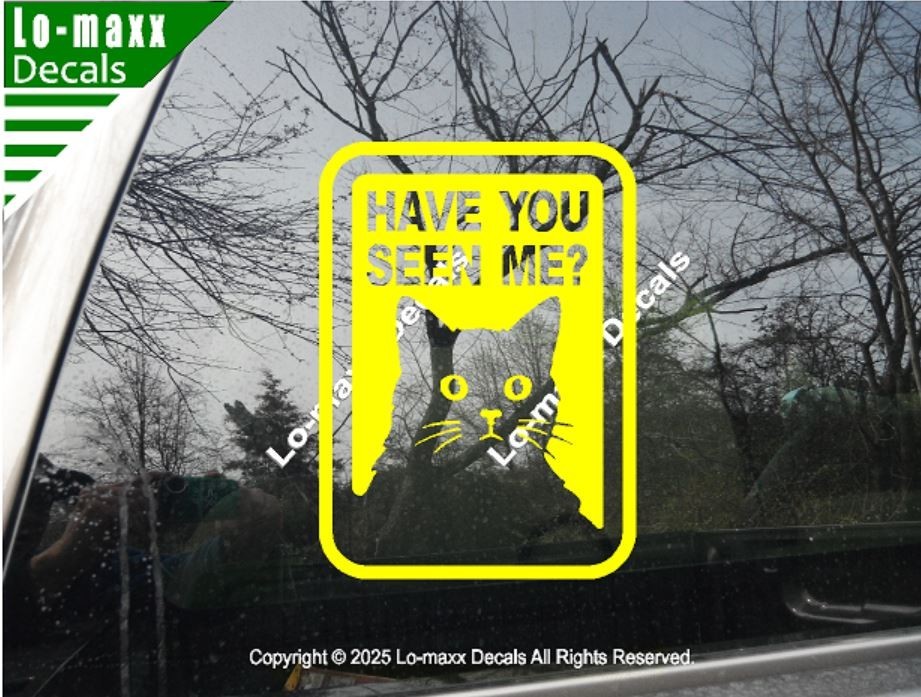 Have You Seen Me Lost Cat Sticker Art Funny Vinyl Decal For Laptop Door Locker