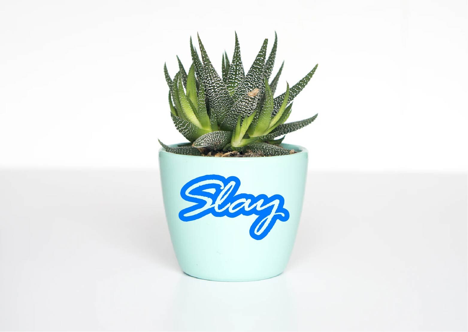 Slay Decal Sticker Girl Attitude Power Slays Queen Woman MILF Adulting Rights