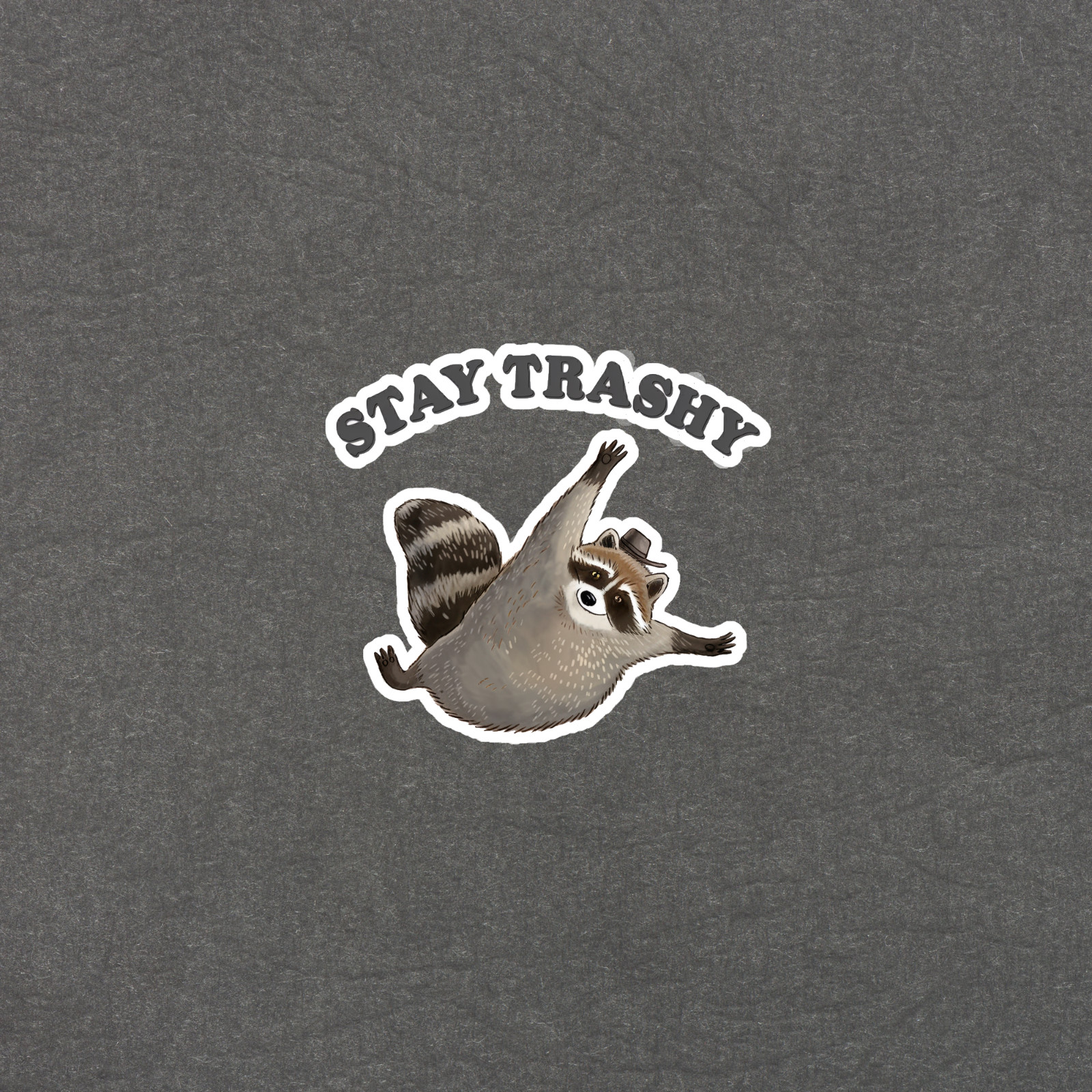 Stay Trashy Raccoon Sticker – Funny Animal Pun Vinyl Decal for Laptops, Water Bo